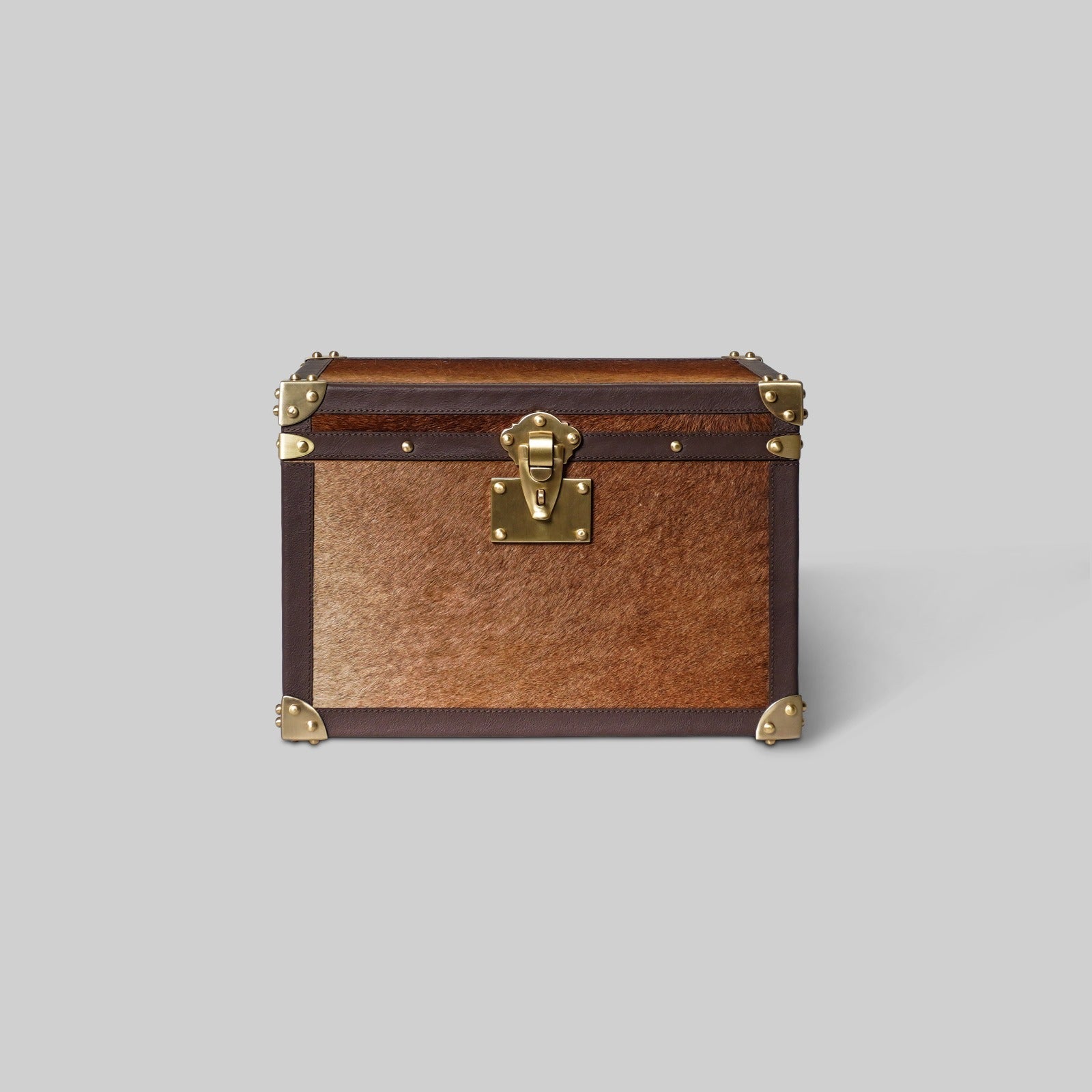 Hairon Leather Trunk