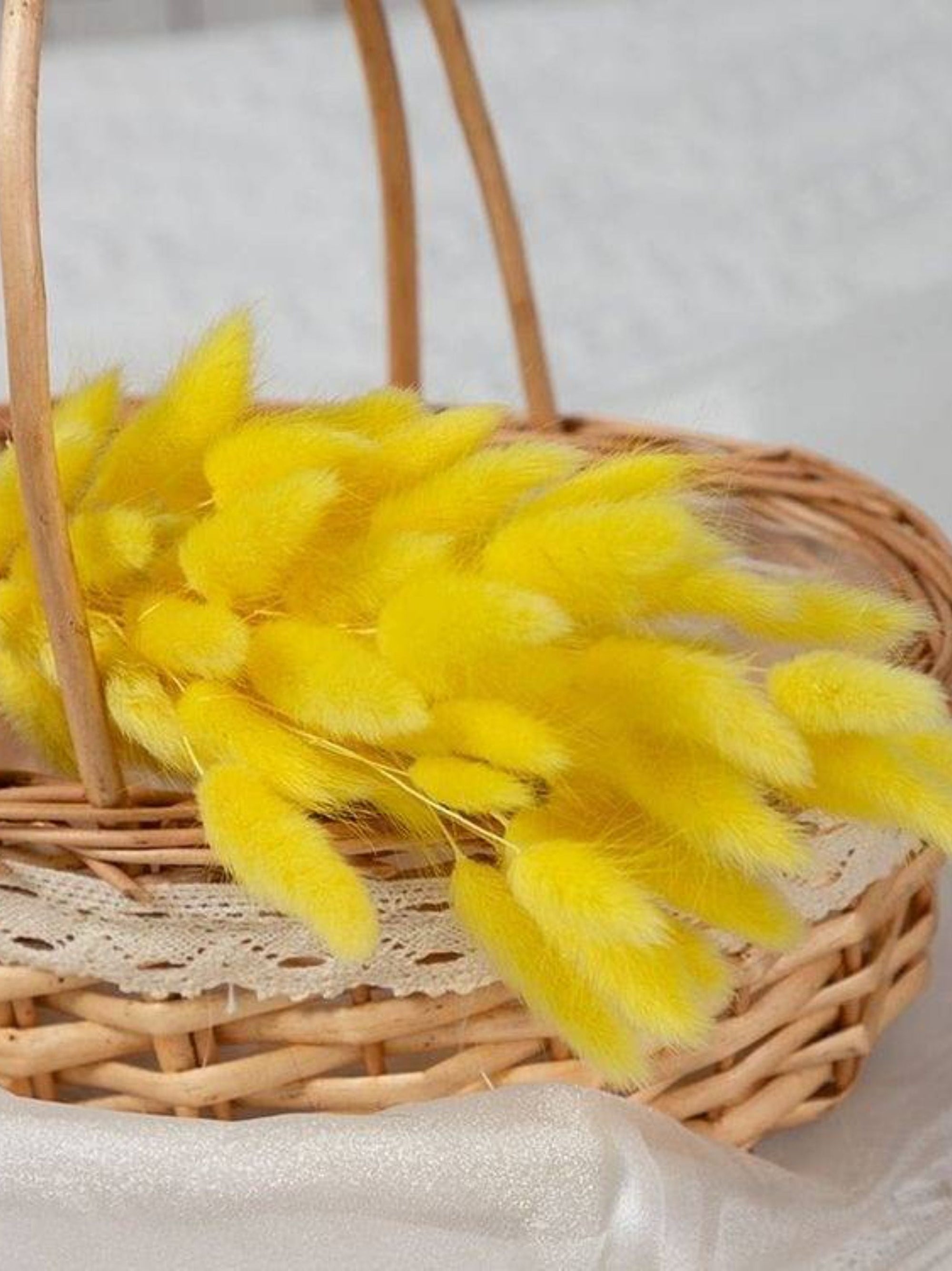 Yellow Bunny tails