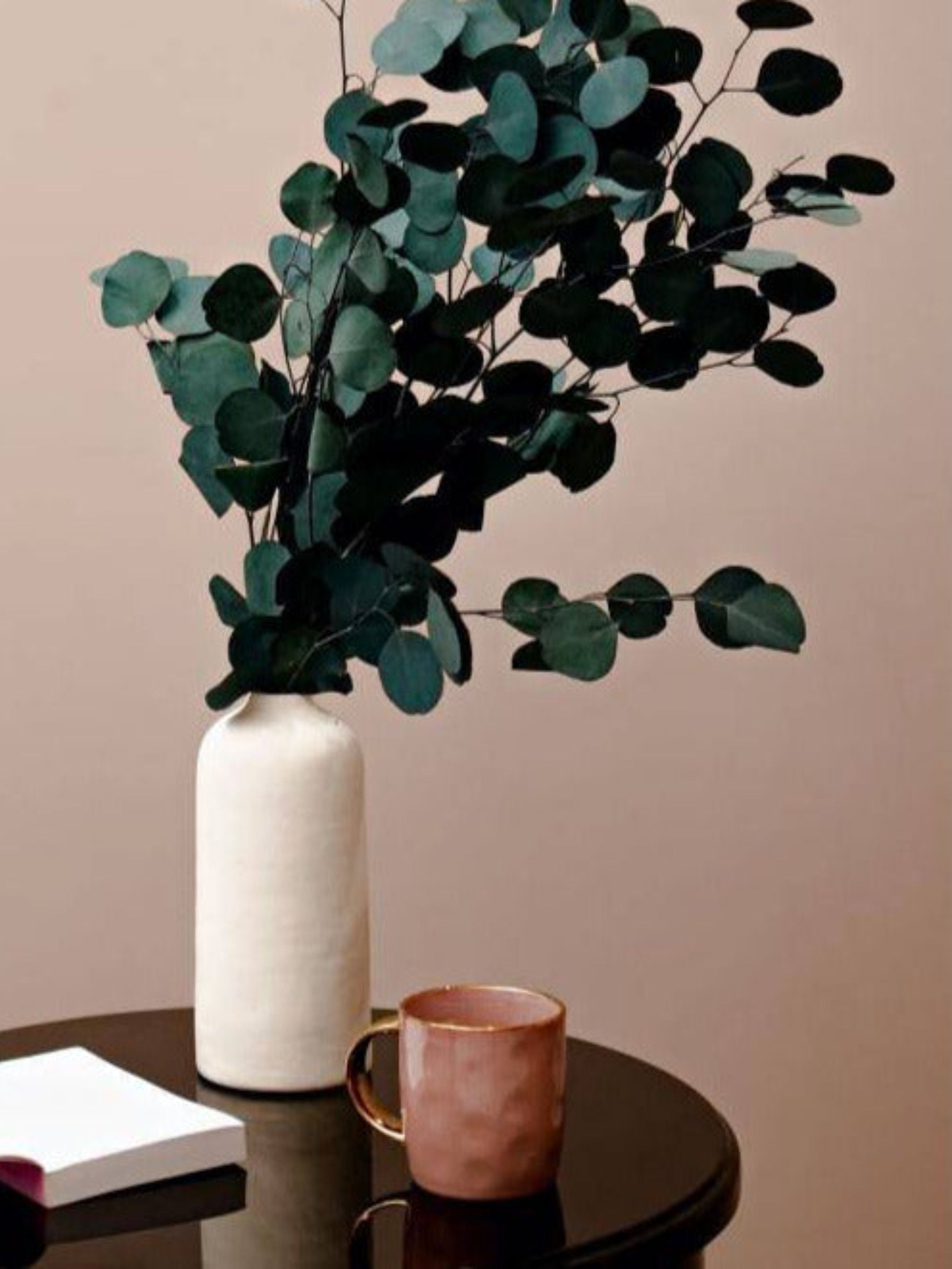 Million Dollar Eucalyptus