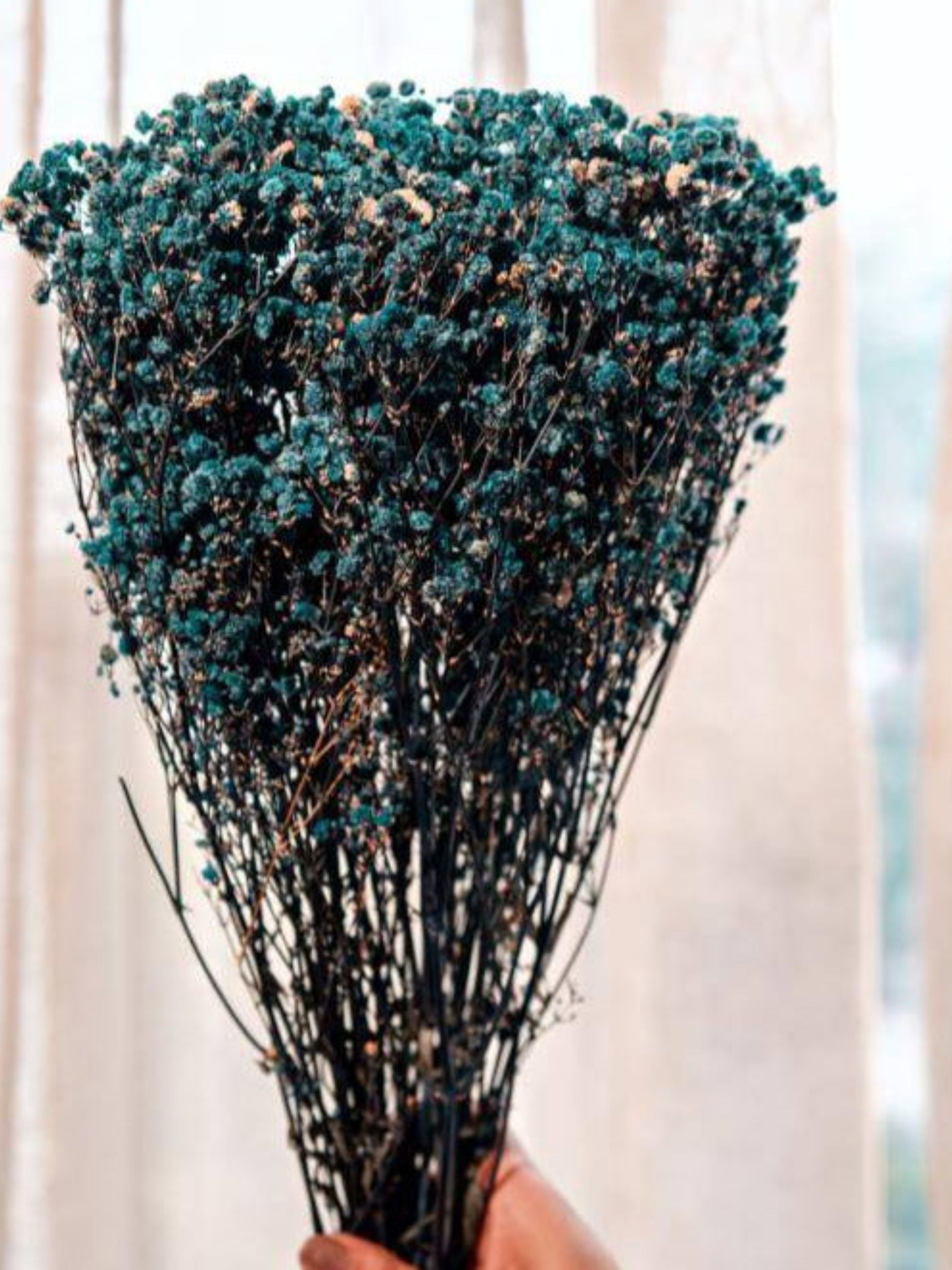 Royal blue baby breaths