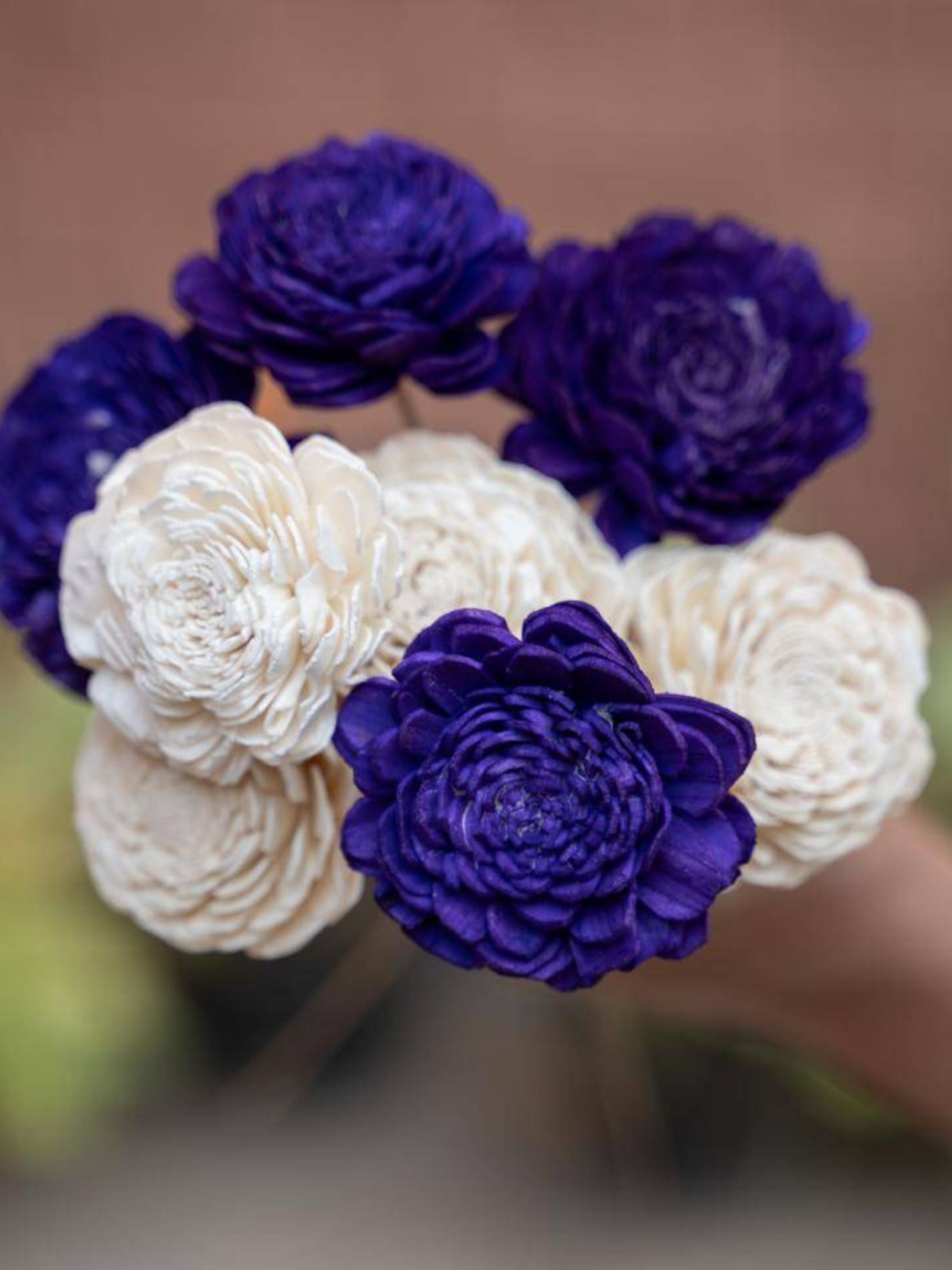 Sola Flower-Purple Combo