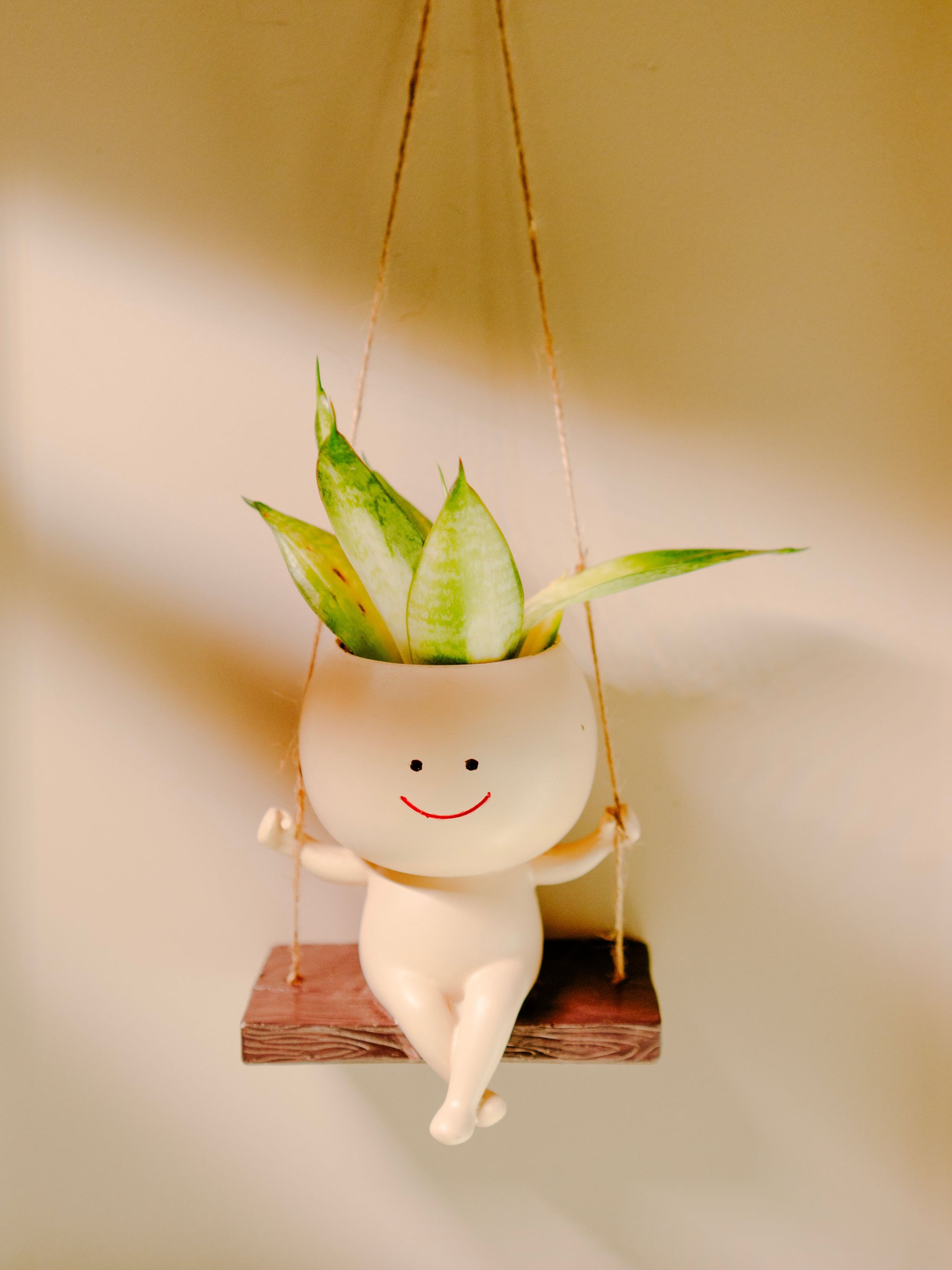 The Happy Hang planter