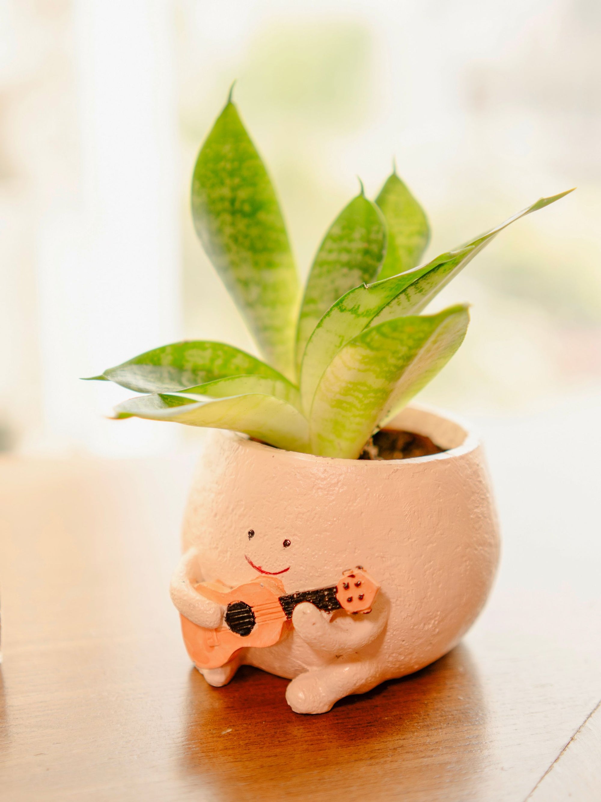 The Jazzy Planter