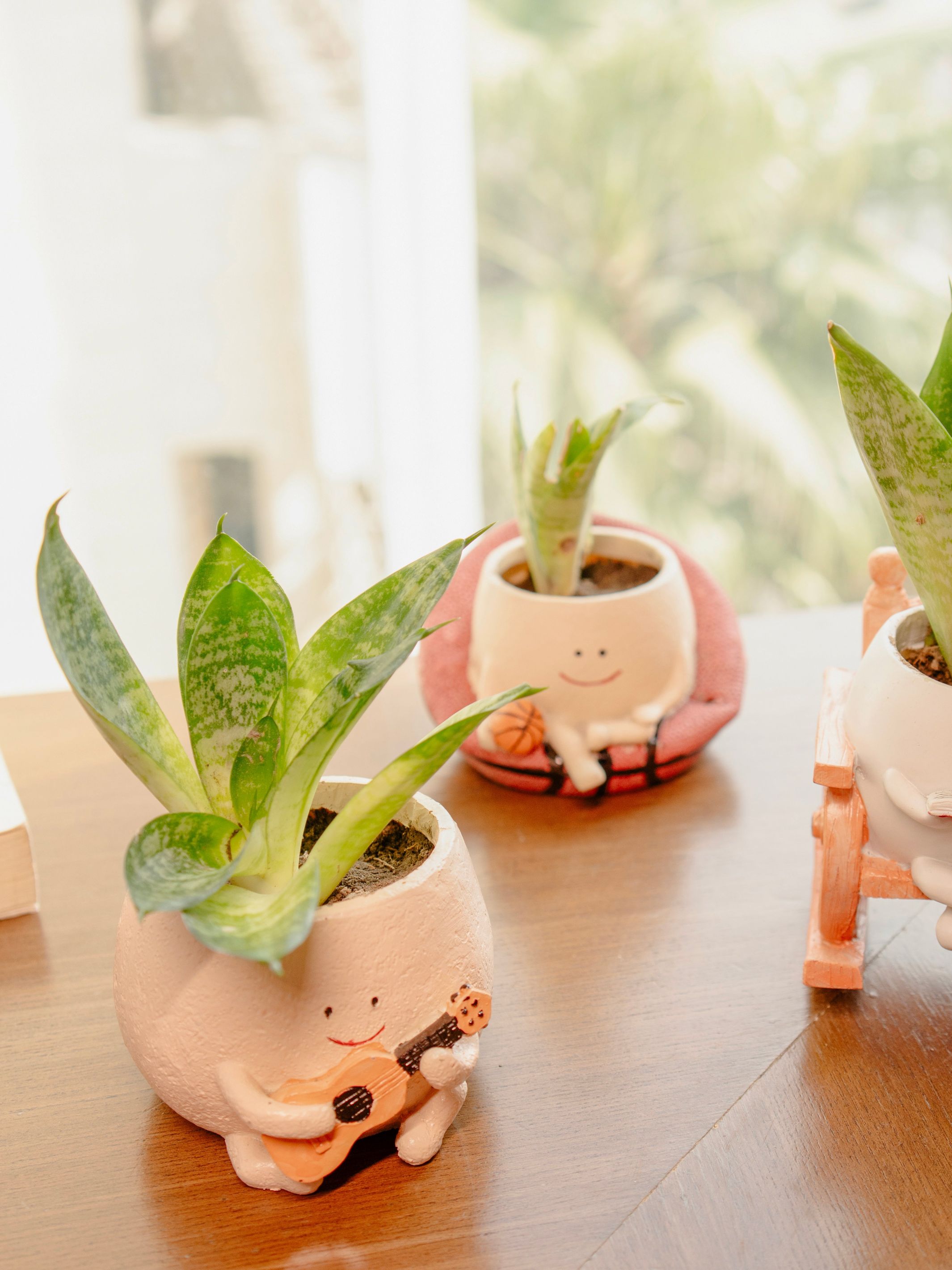 The Joyful Swing Set