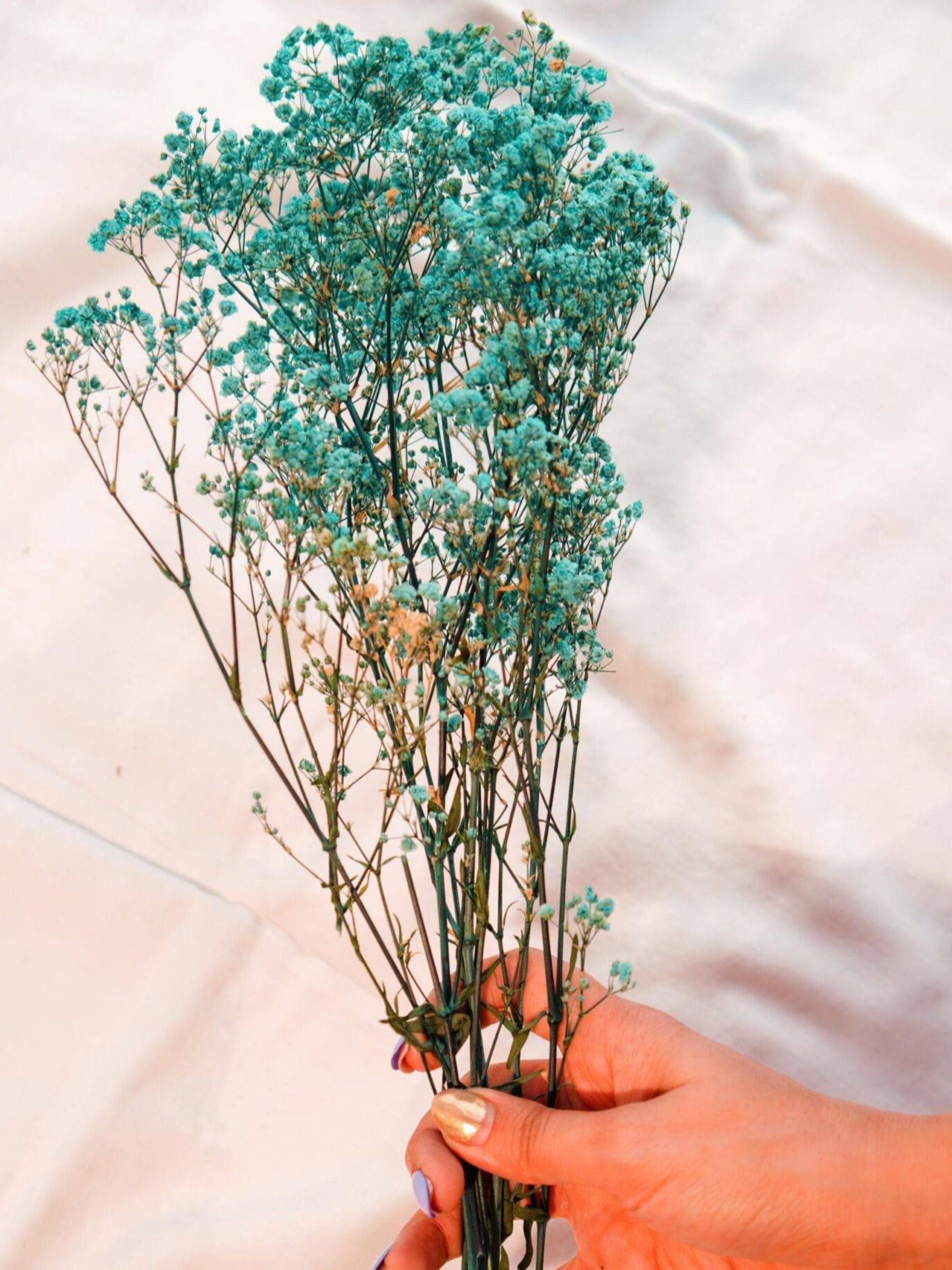 Turquoise Blue baby breaths