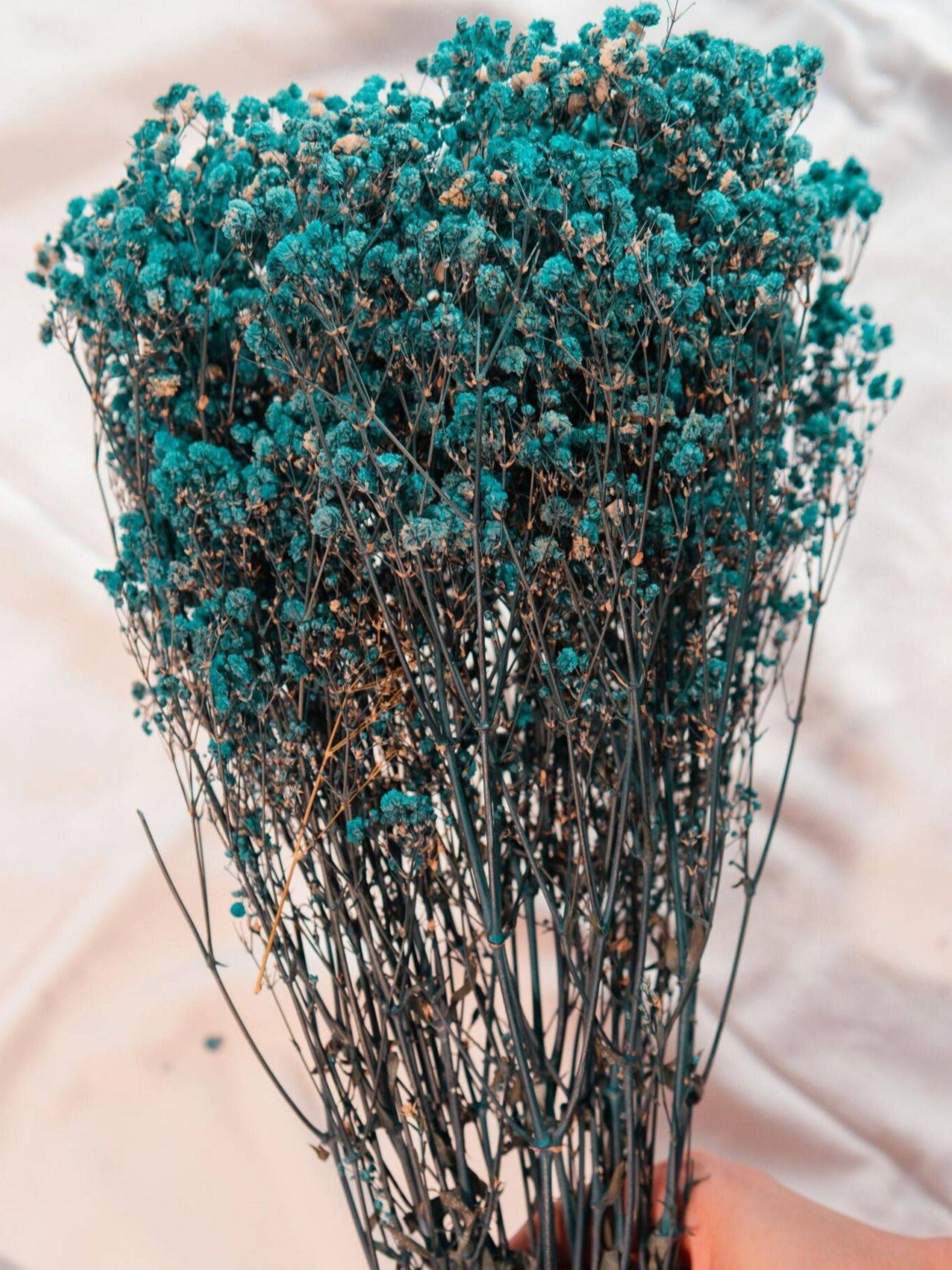 Royal blue baby breaths