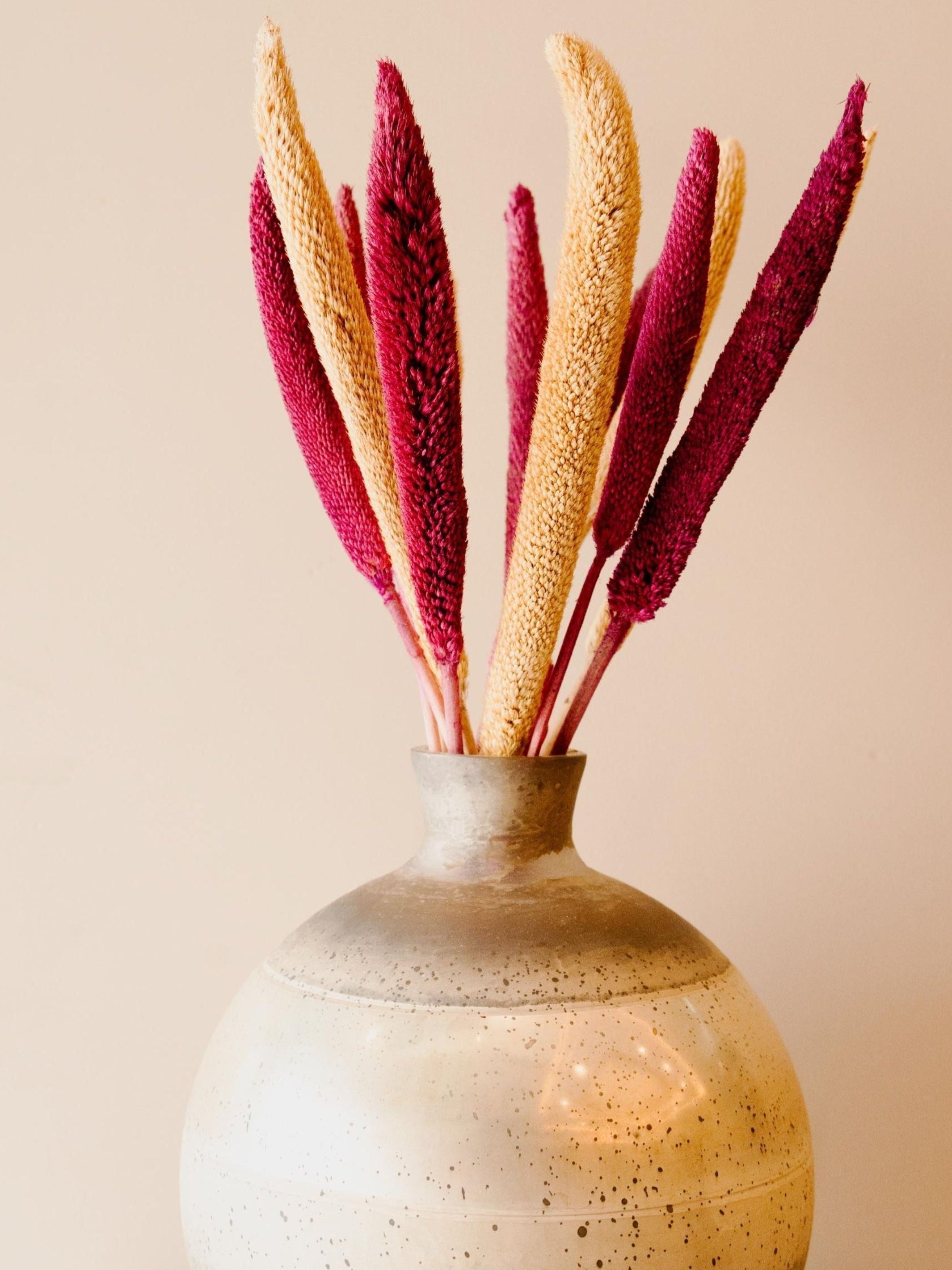 Bazra mini Dual shade - yellow and pink