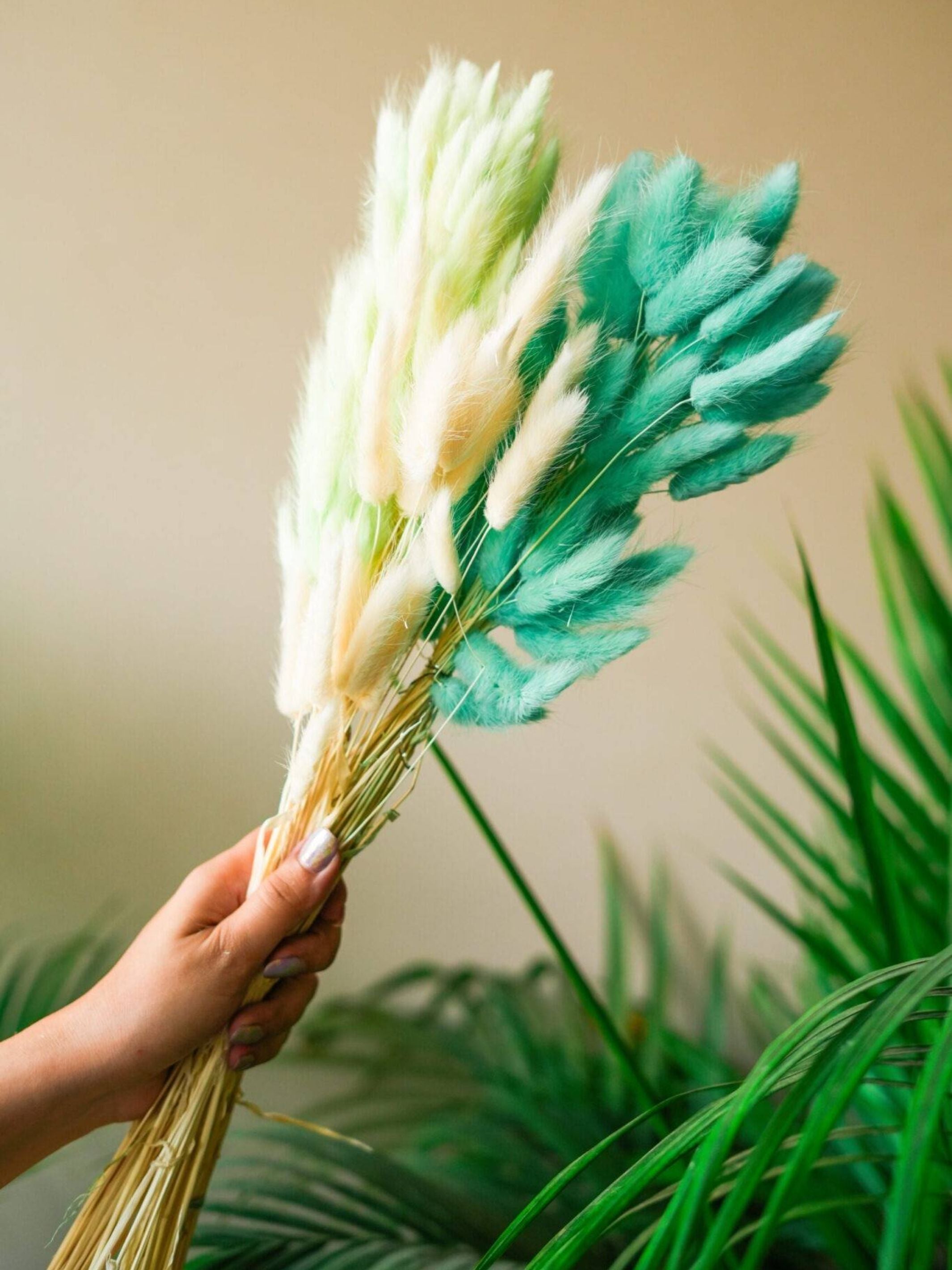 Mint Green Bunny tails-set of 50 stems