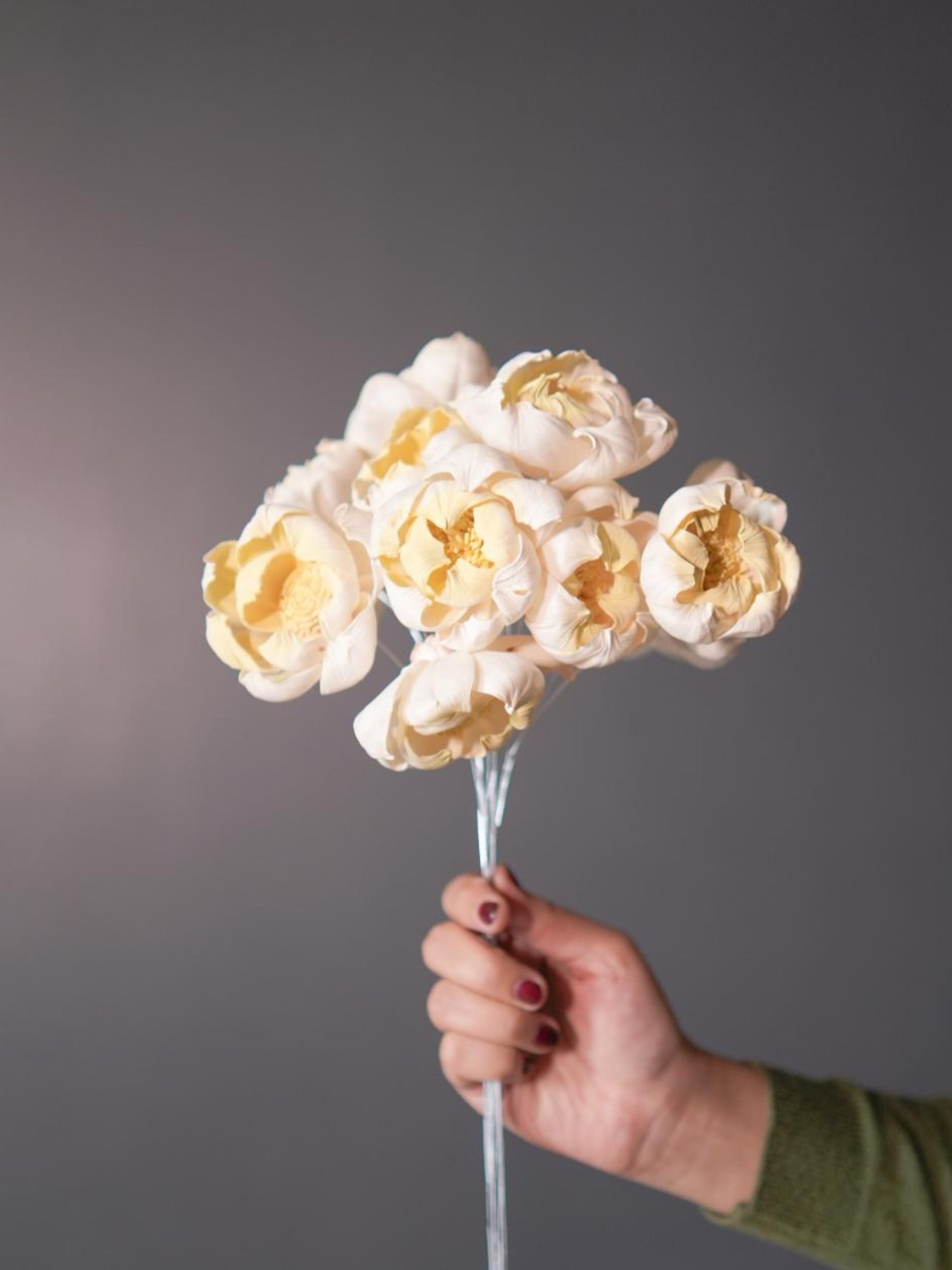 Dual shade sola peony-Yellow and white