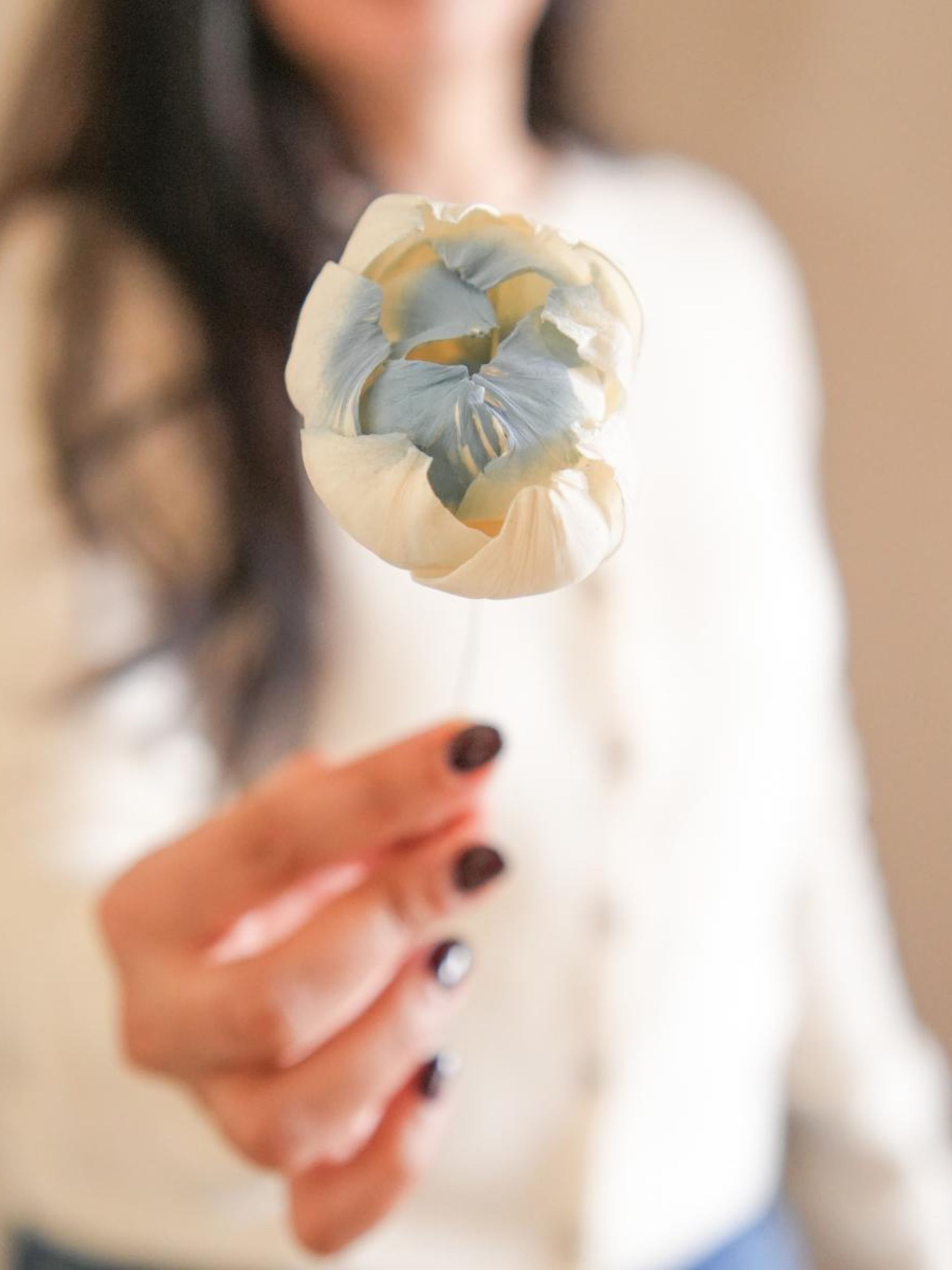 Dual shade sola peony-Blue and white