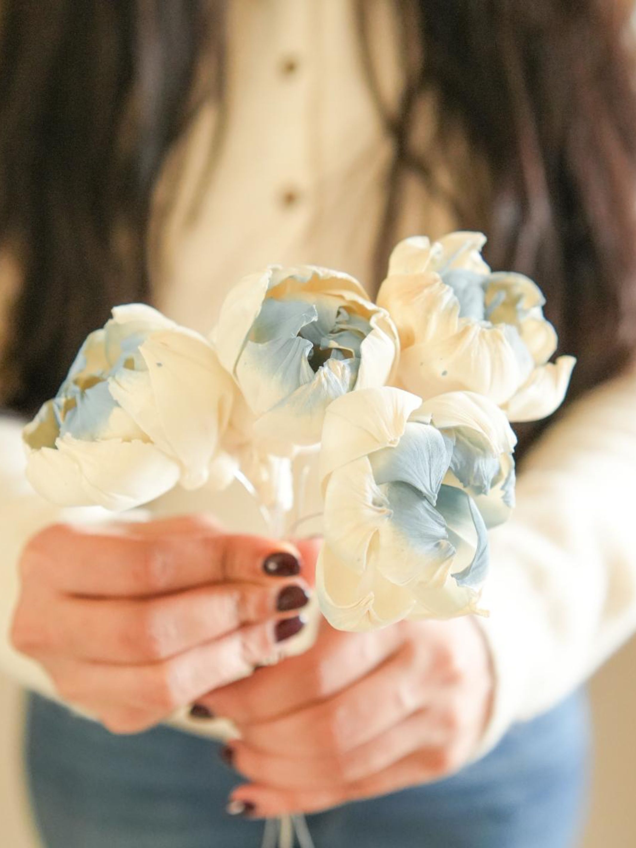 Dual shade sola peony-Blue and white