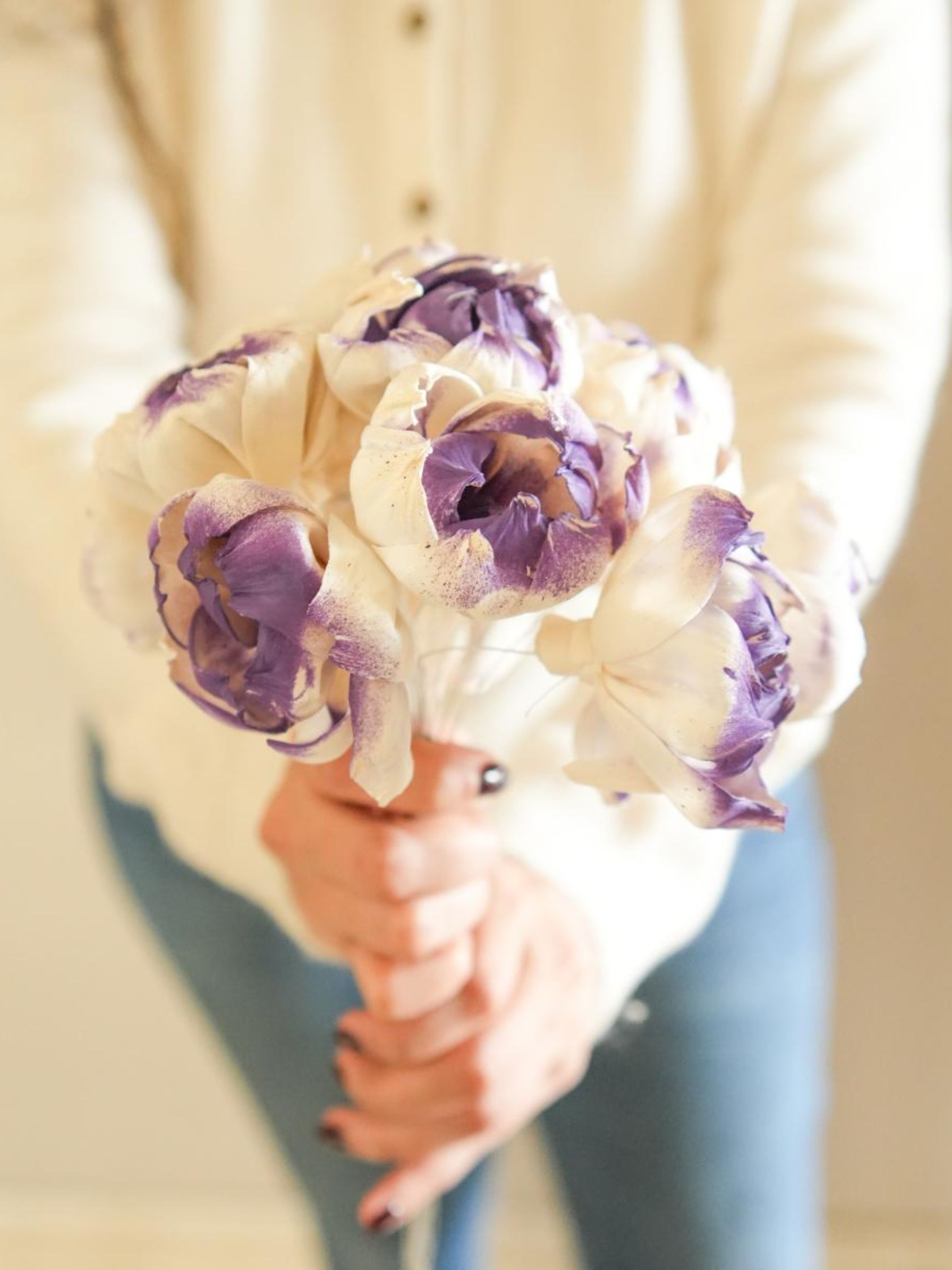 Dual shade sola peony-Purple and white