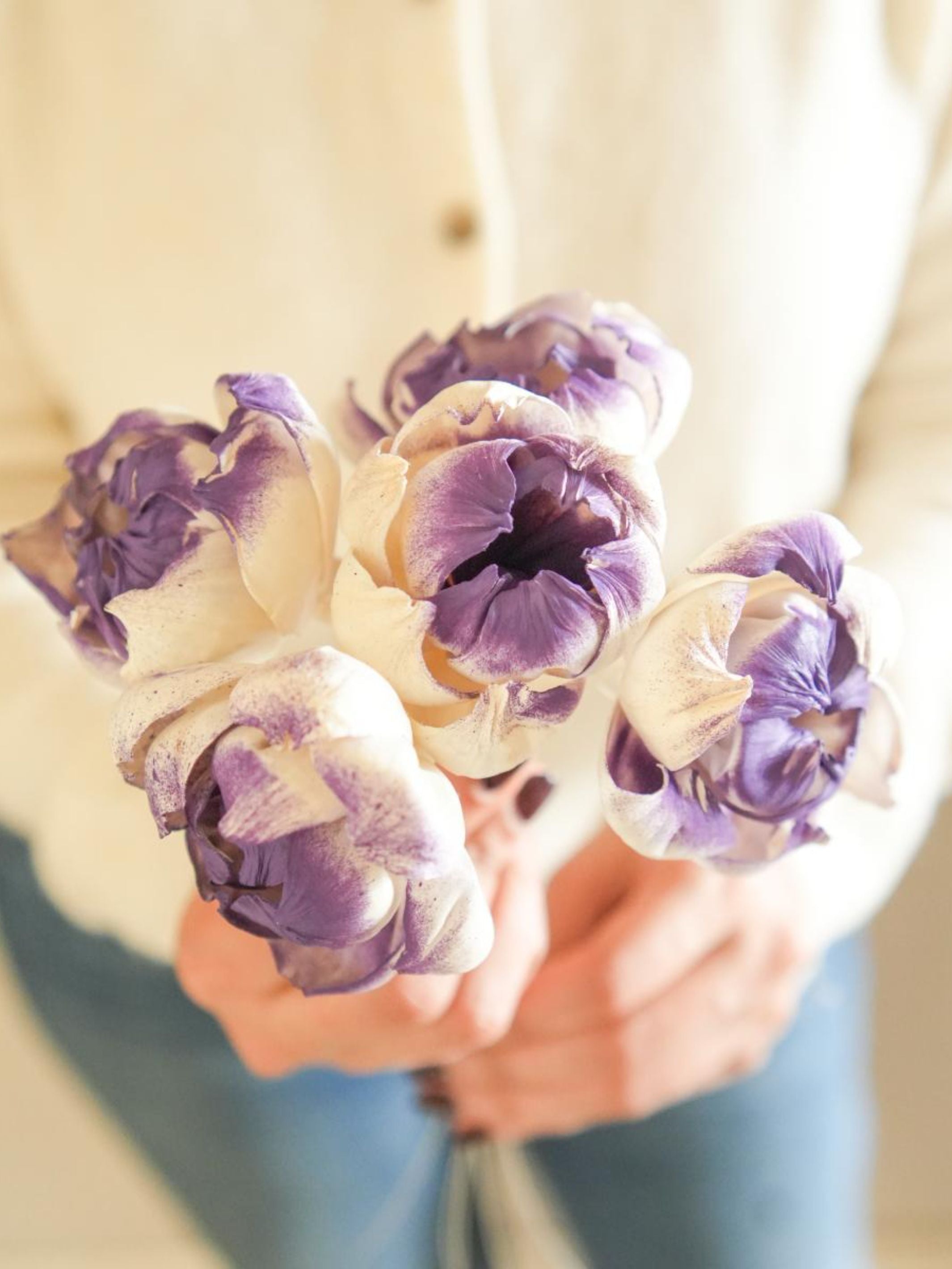 Dual shade sola peony-Purple and white