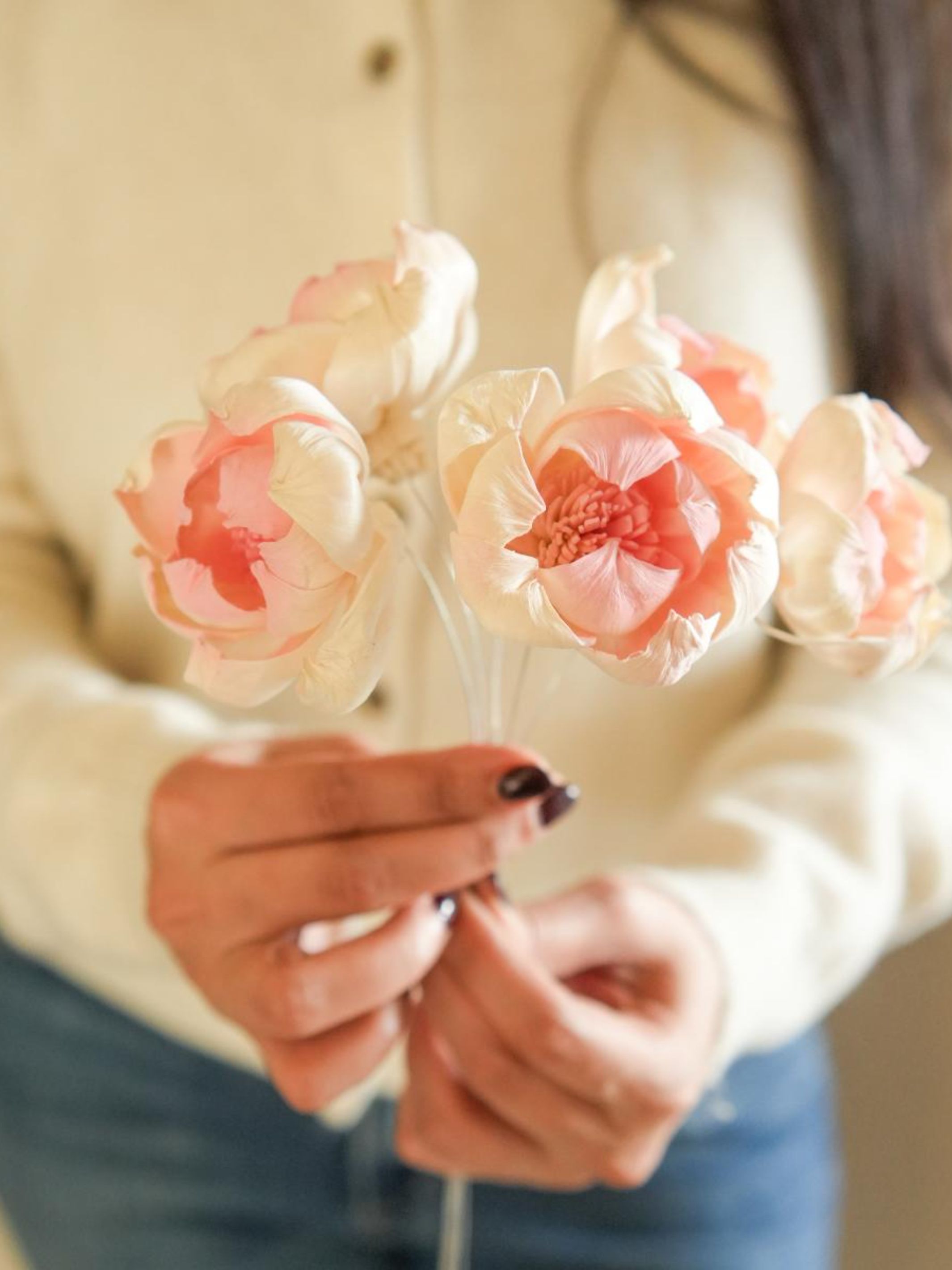 Dual shade sola peony-Pink and white