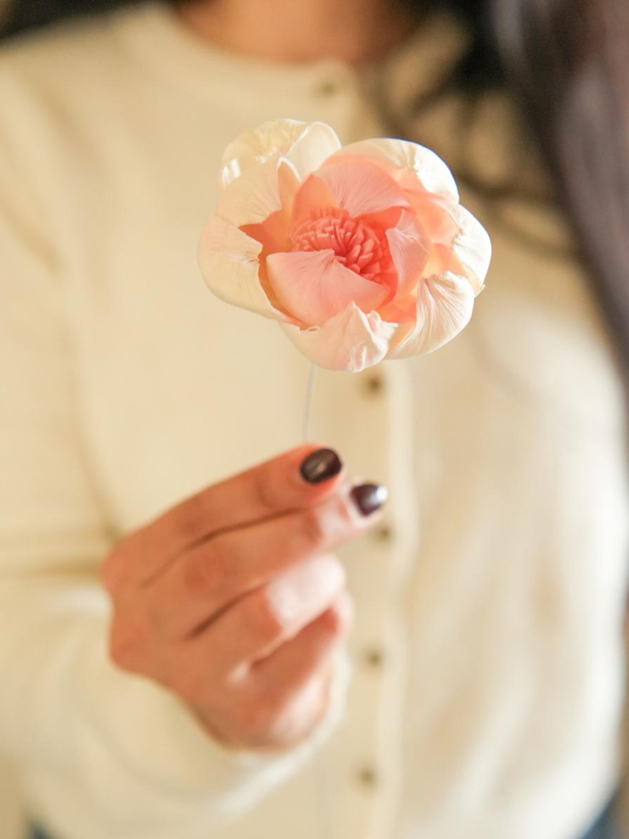 Dual shade sola peony-Pink and white