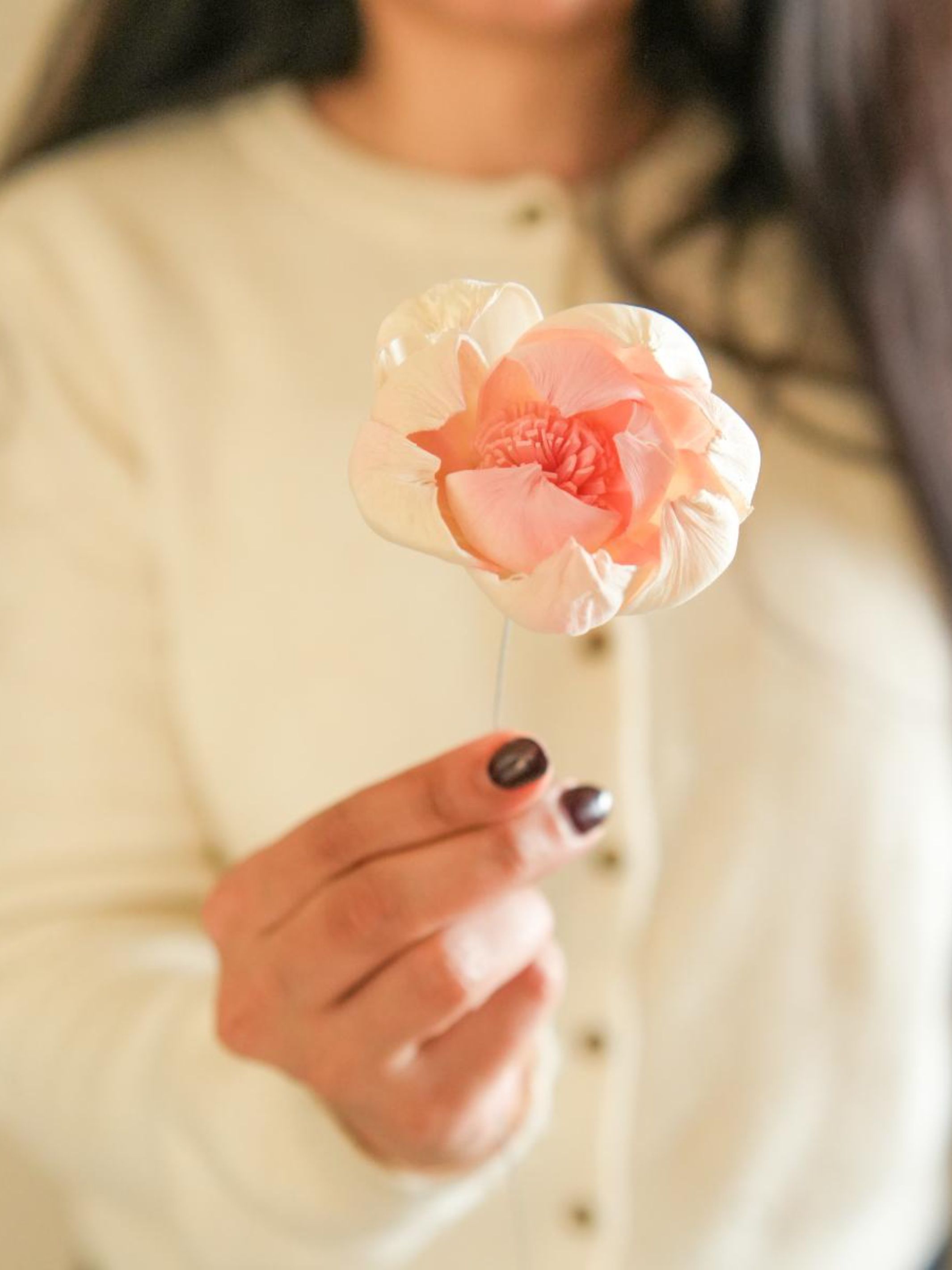 Dual shade sola peony-Pink and white