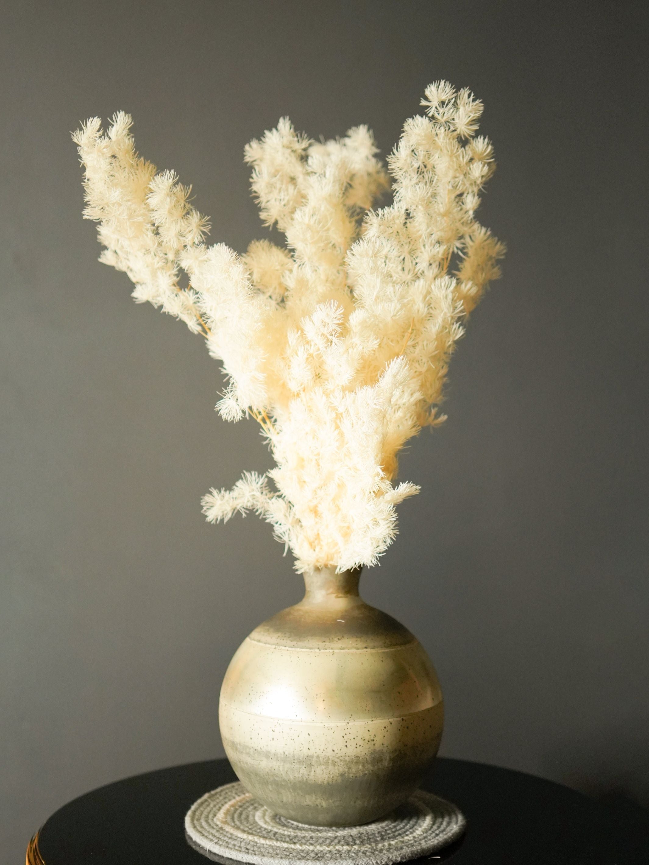 asparagus fern-white