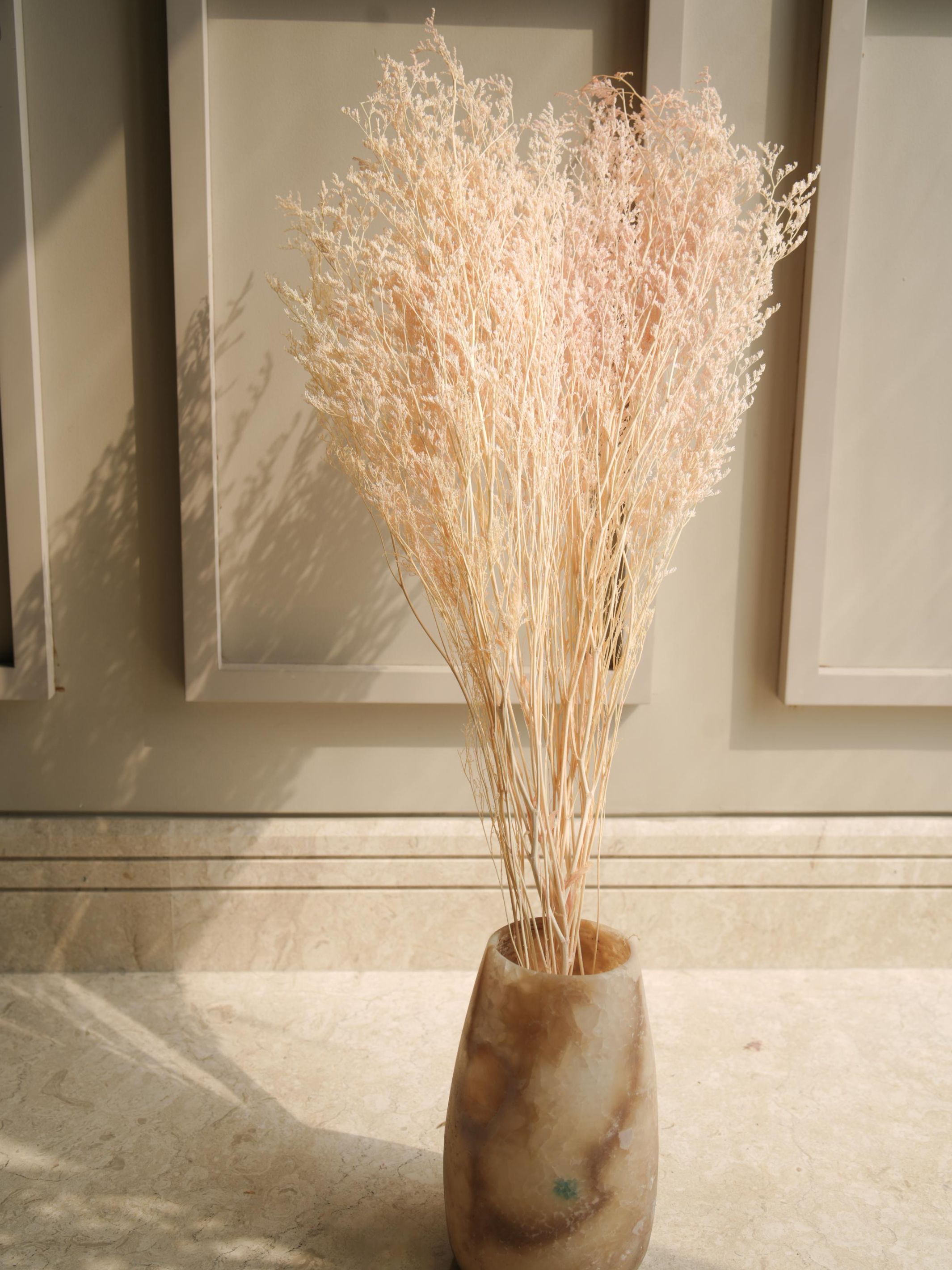 Dual colour Limonium