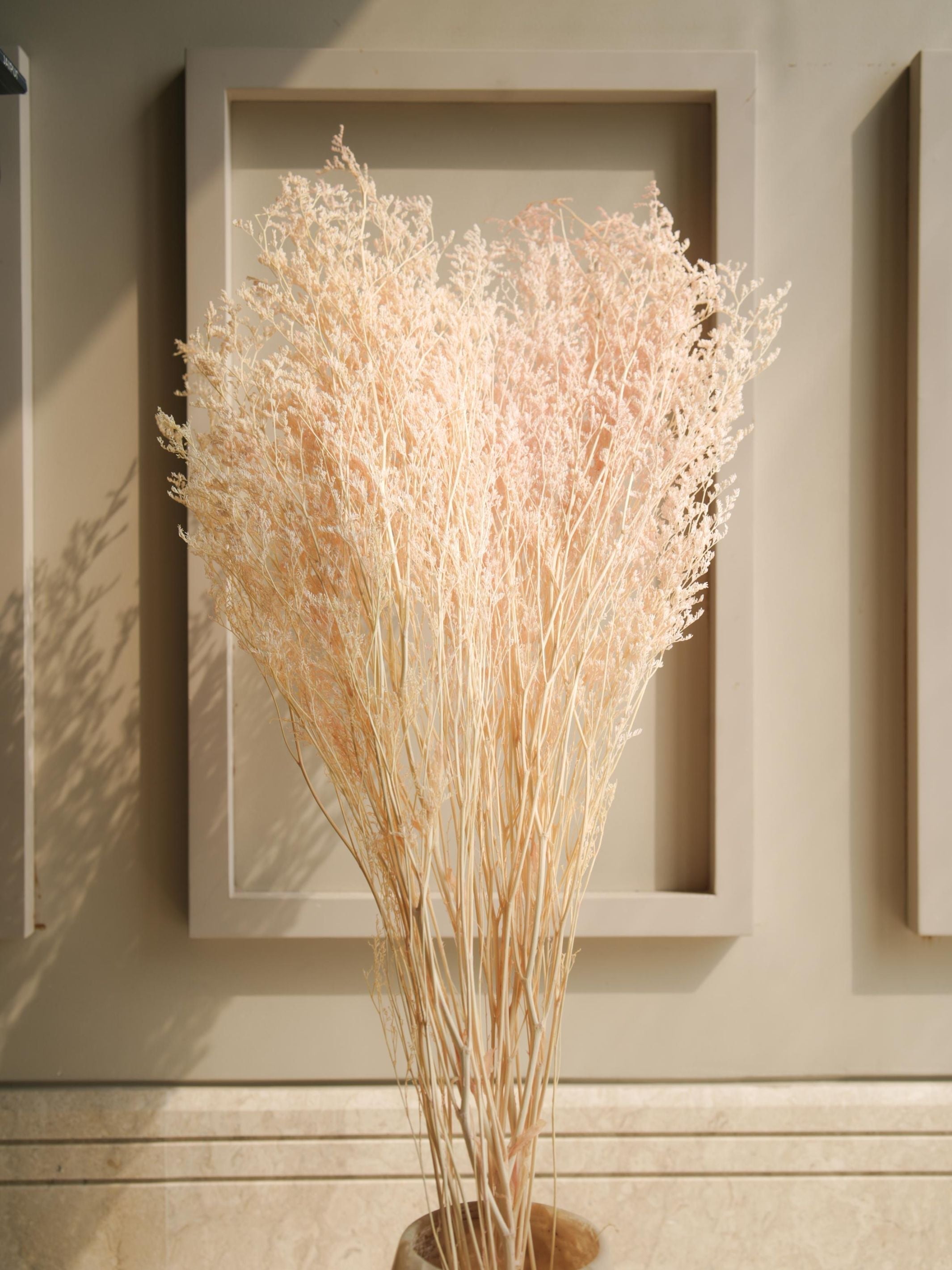 Dual colour Limonium