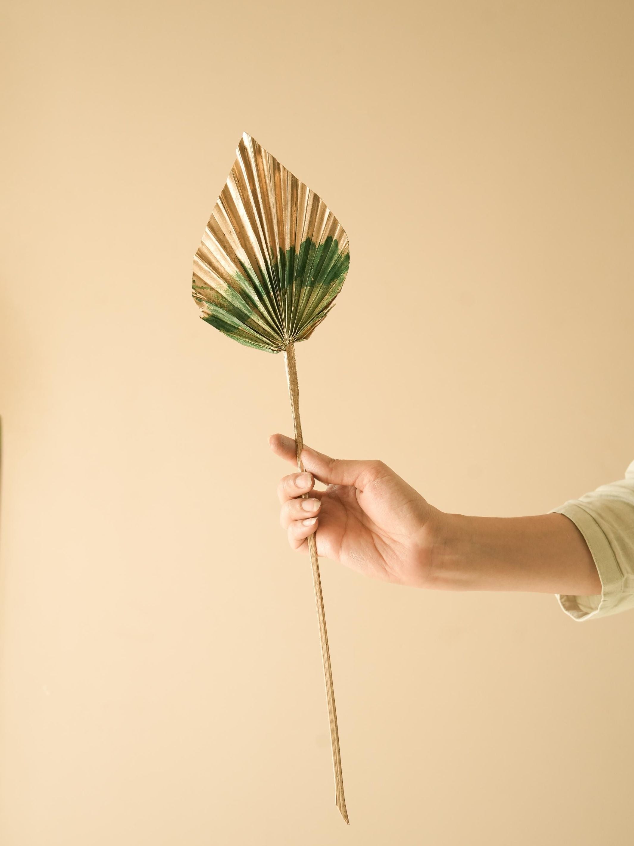 Golden Green Dual tone palm leaves