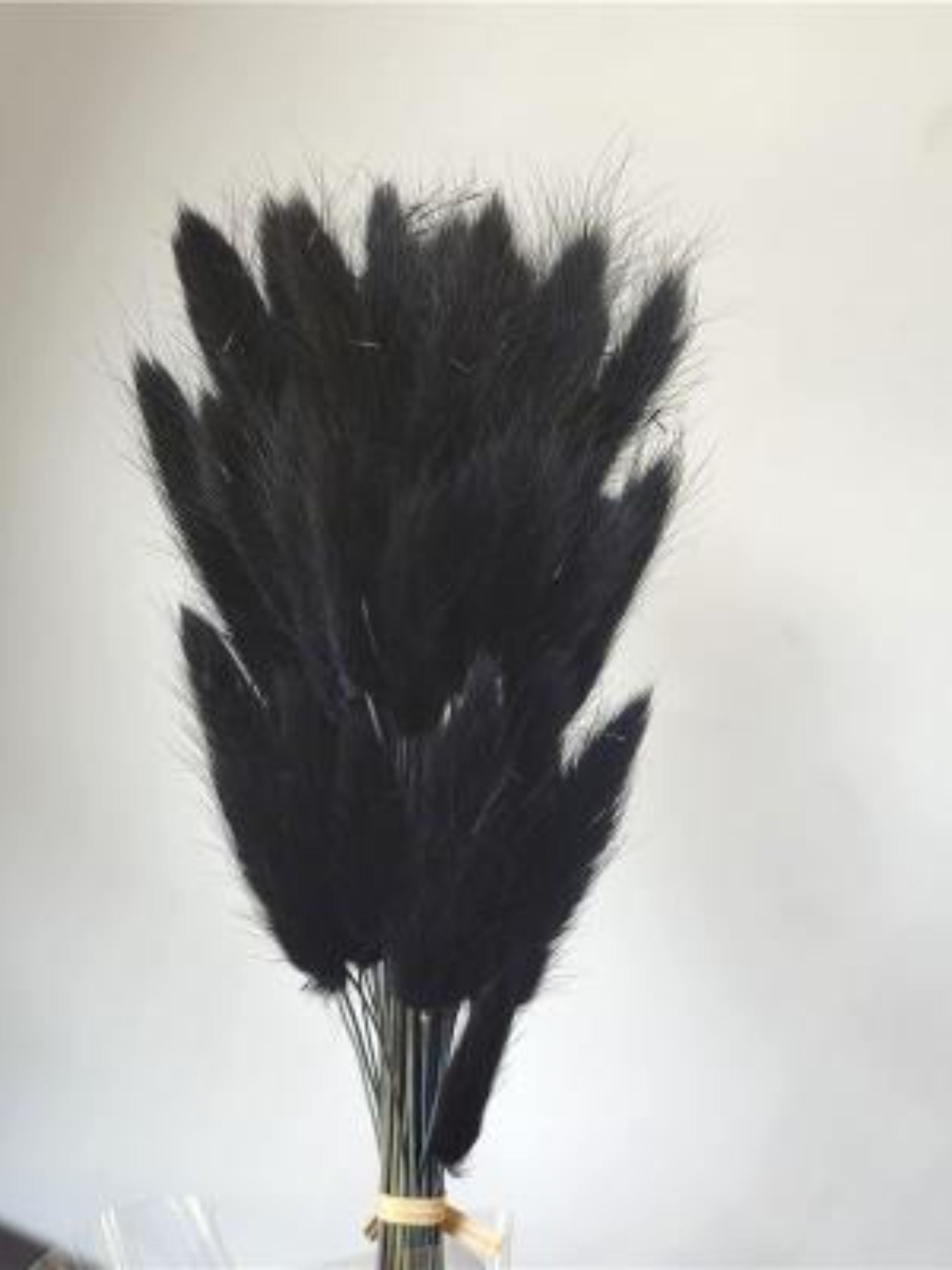 Black Bunny Tails