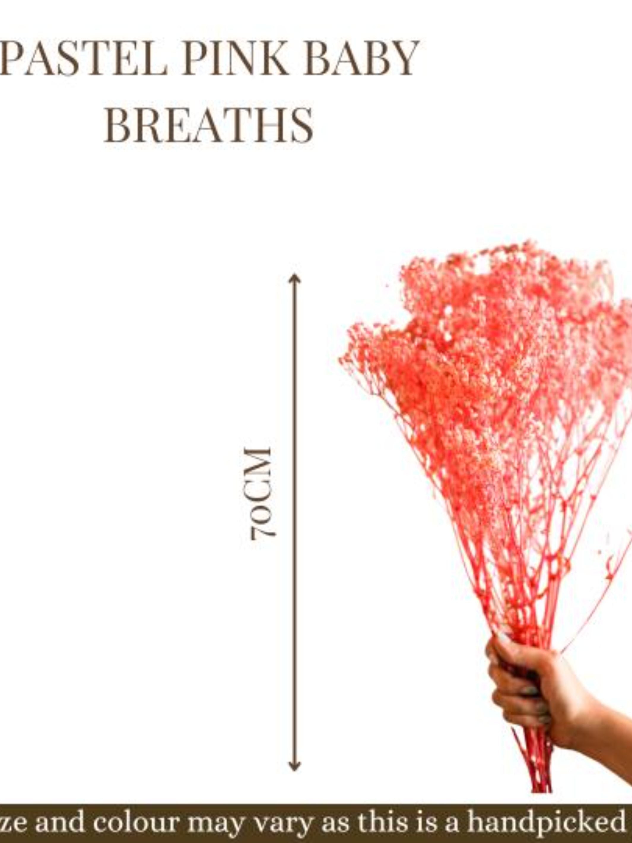 Pastel Pink baby breaths