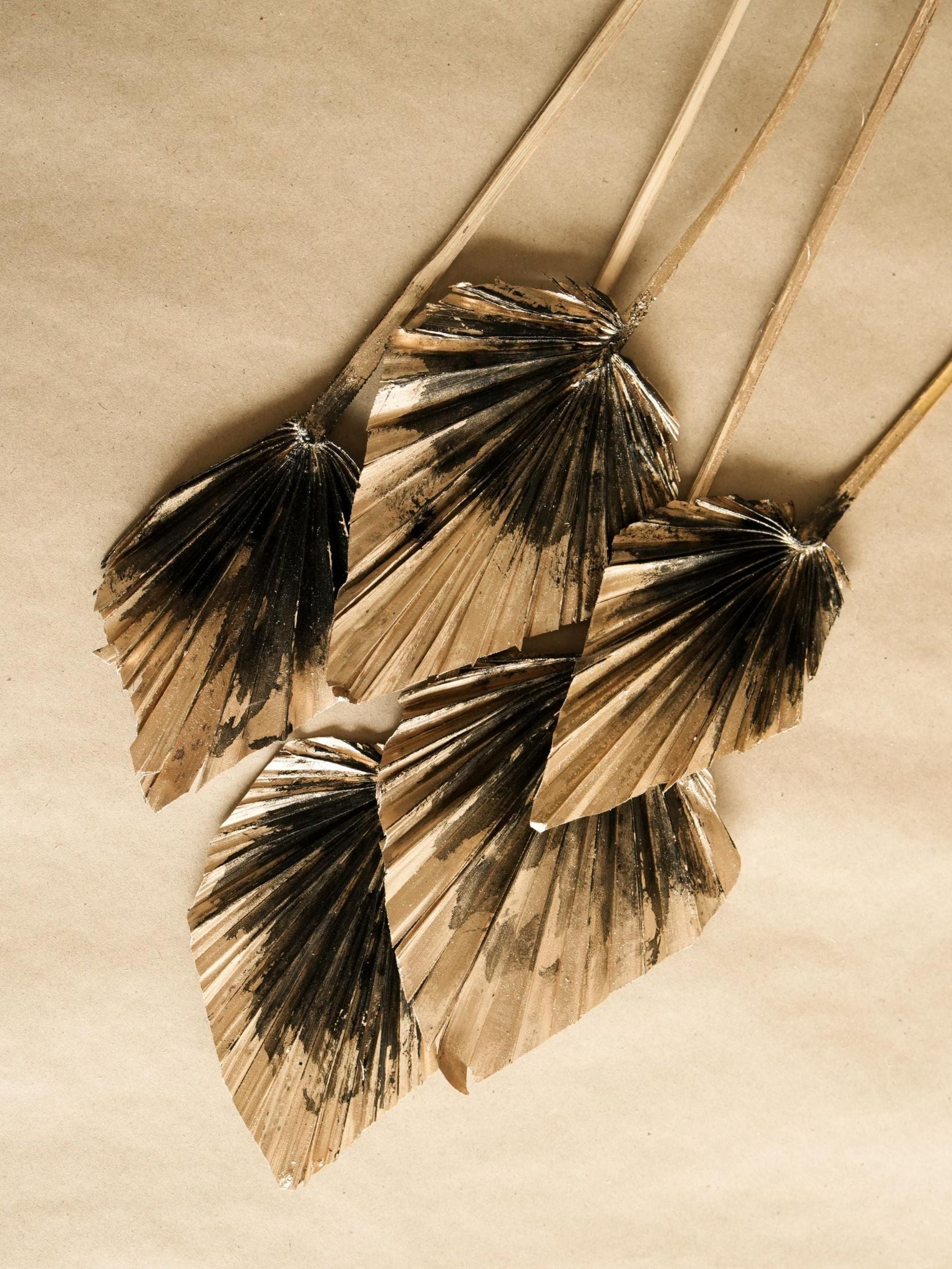 Dual Colour Palm leaves