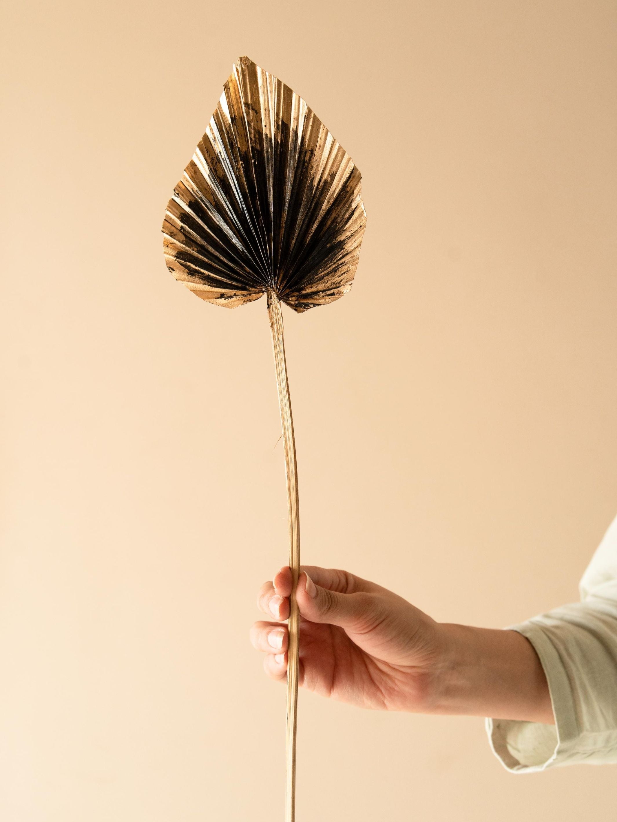 Dual Colour Palm leaves