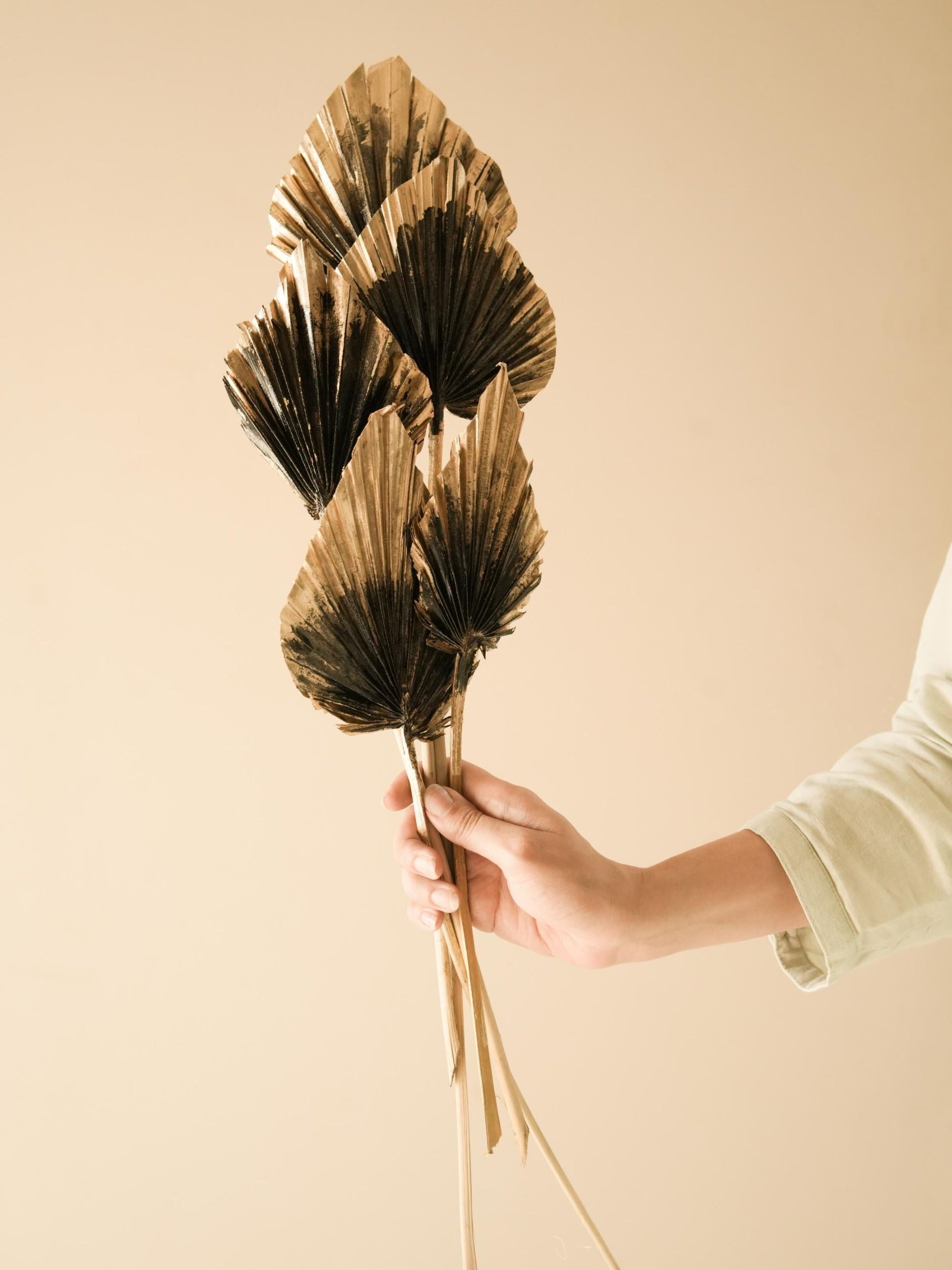 Dual Colour Palm leaves