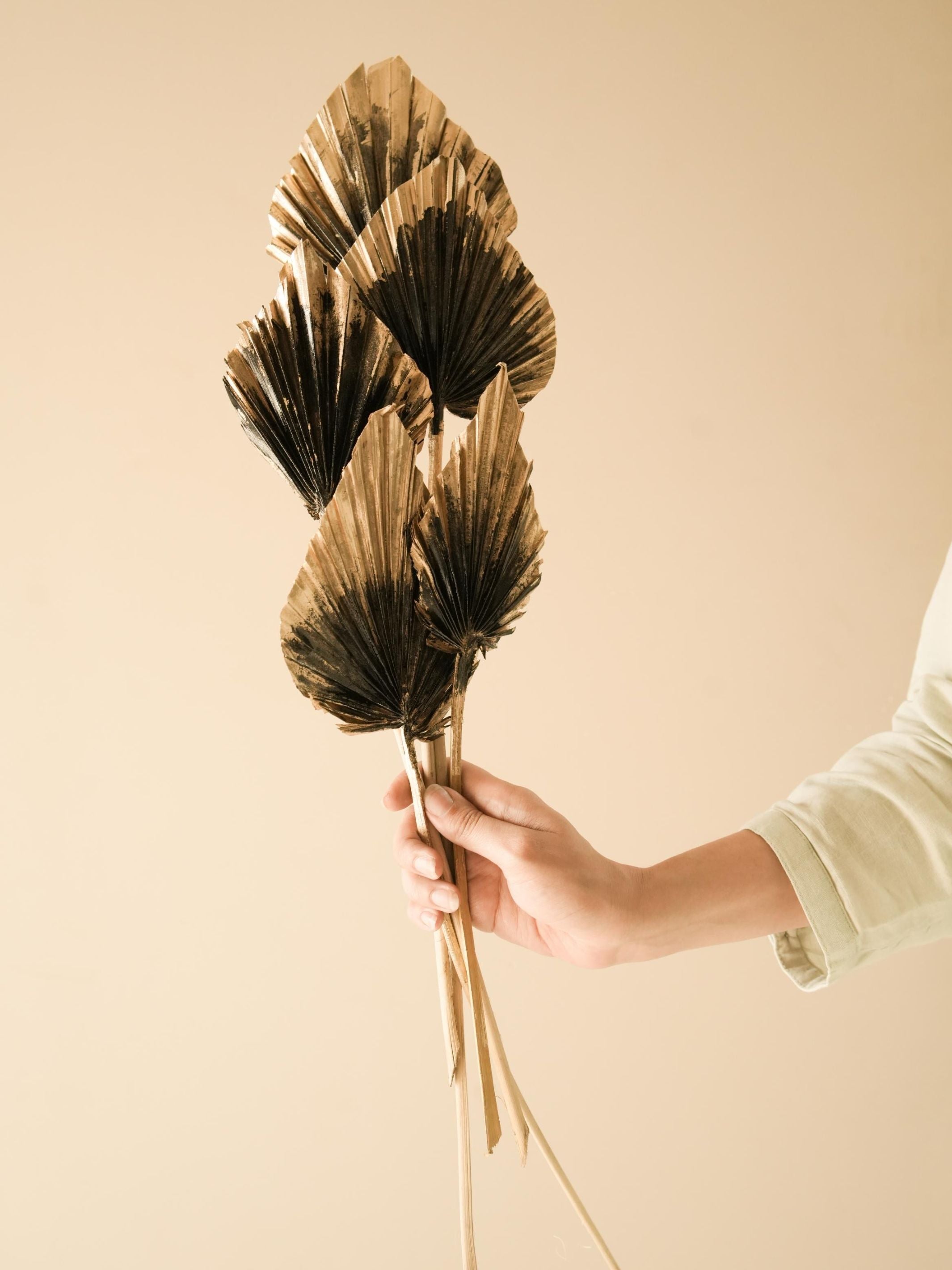 Dual Colour Palm leaves