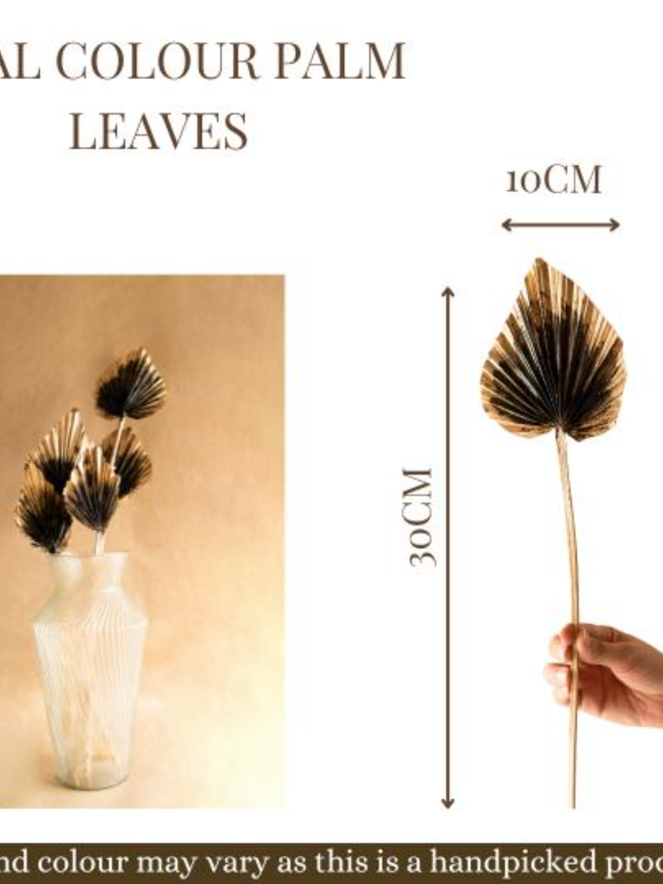 Dual Colour Palm leaves