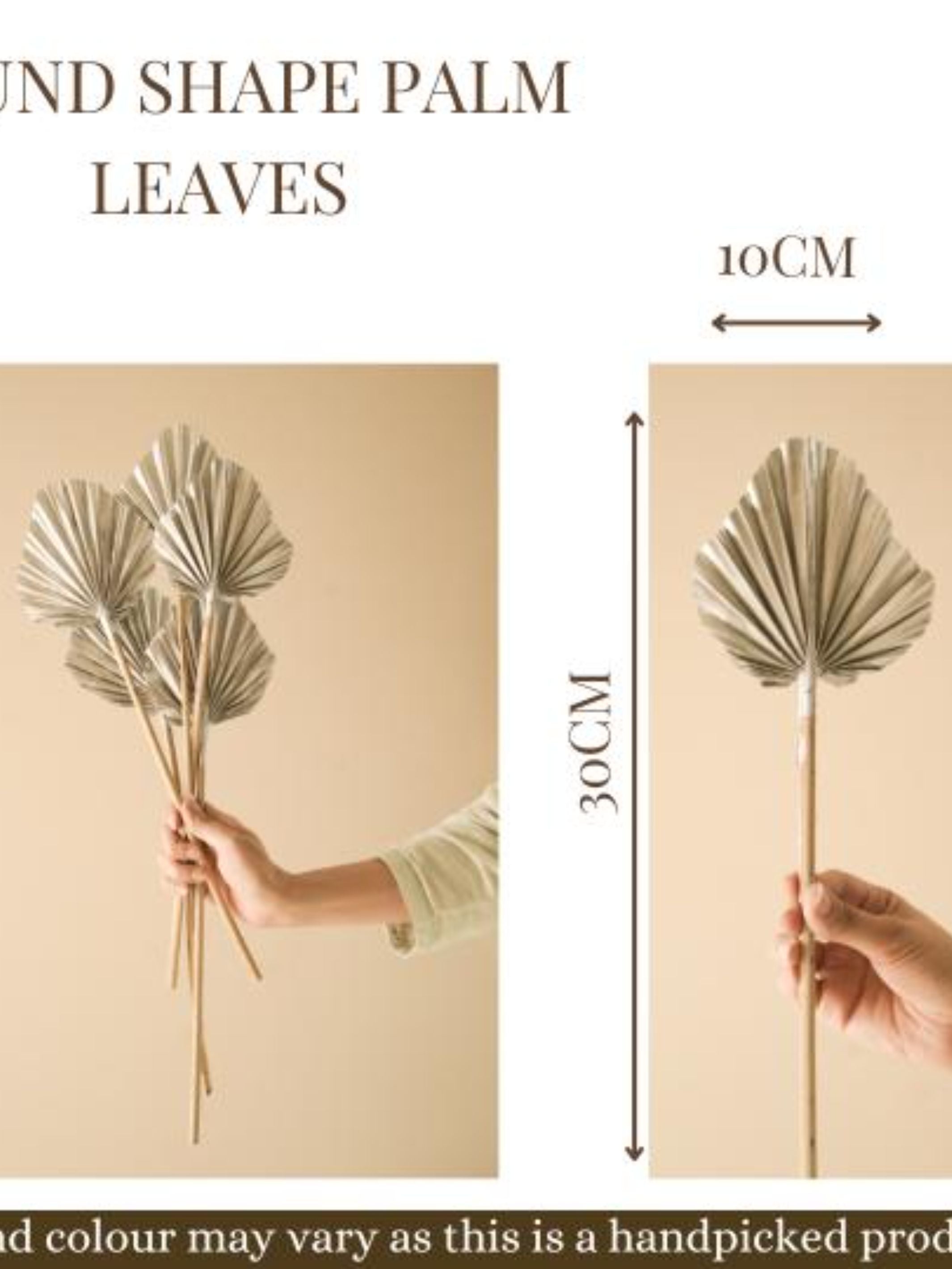 Round shape palm leaves