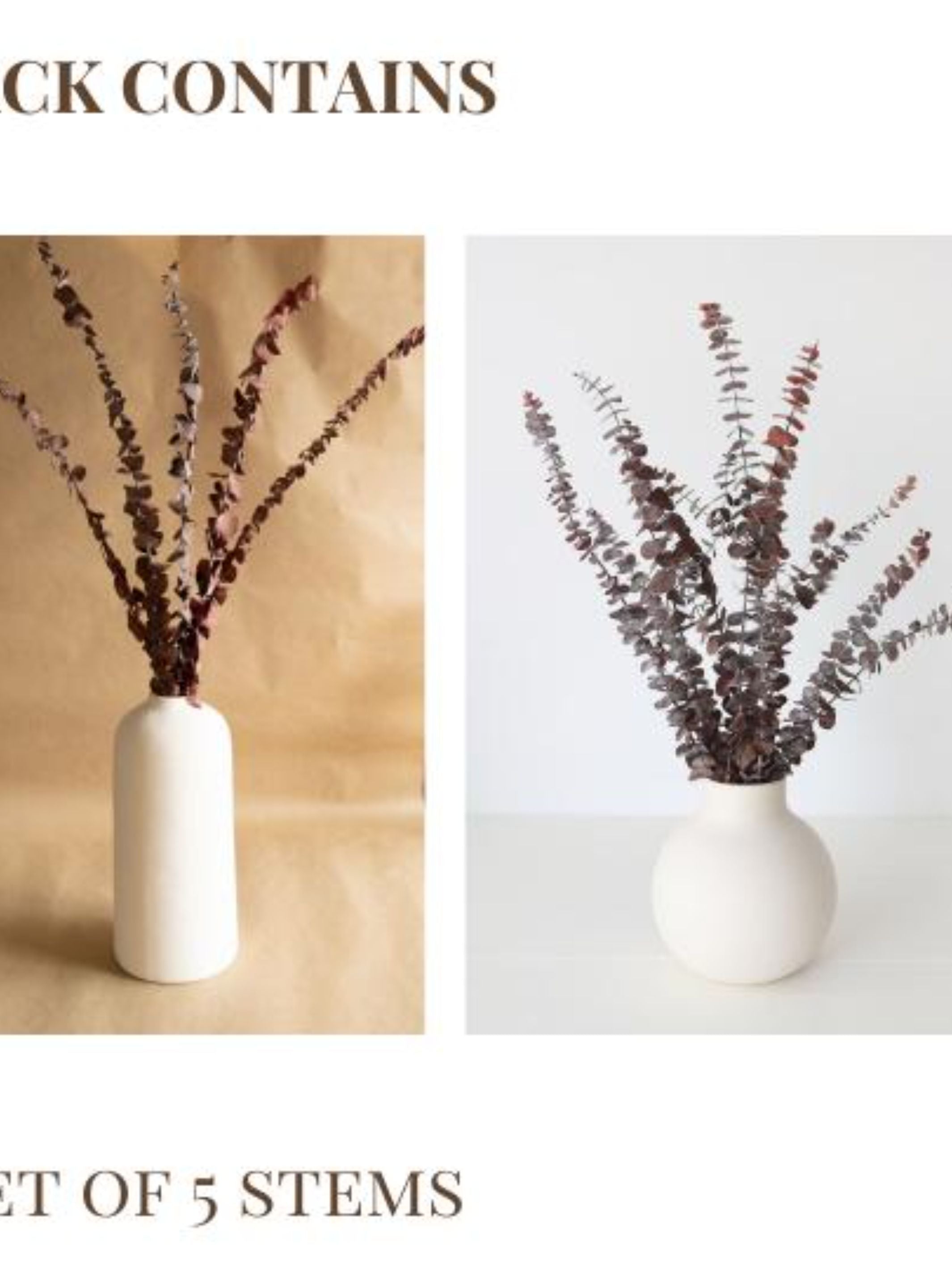 Brown Eucalyptus leaves