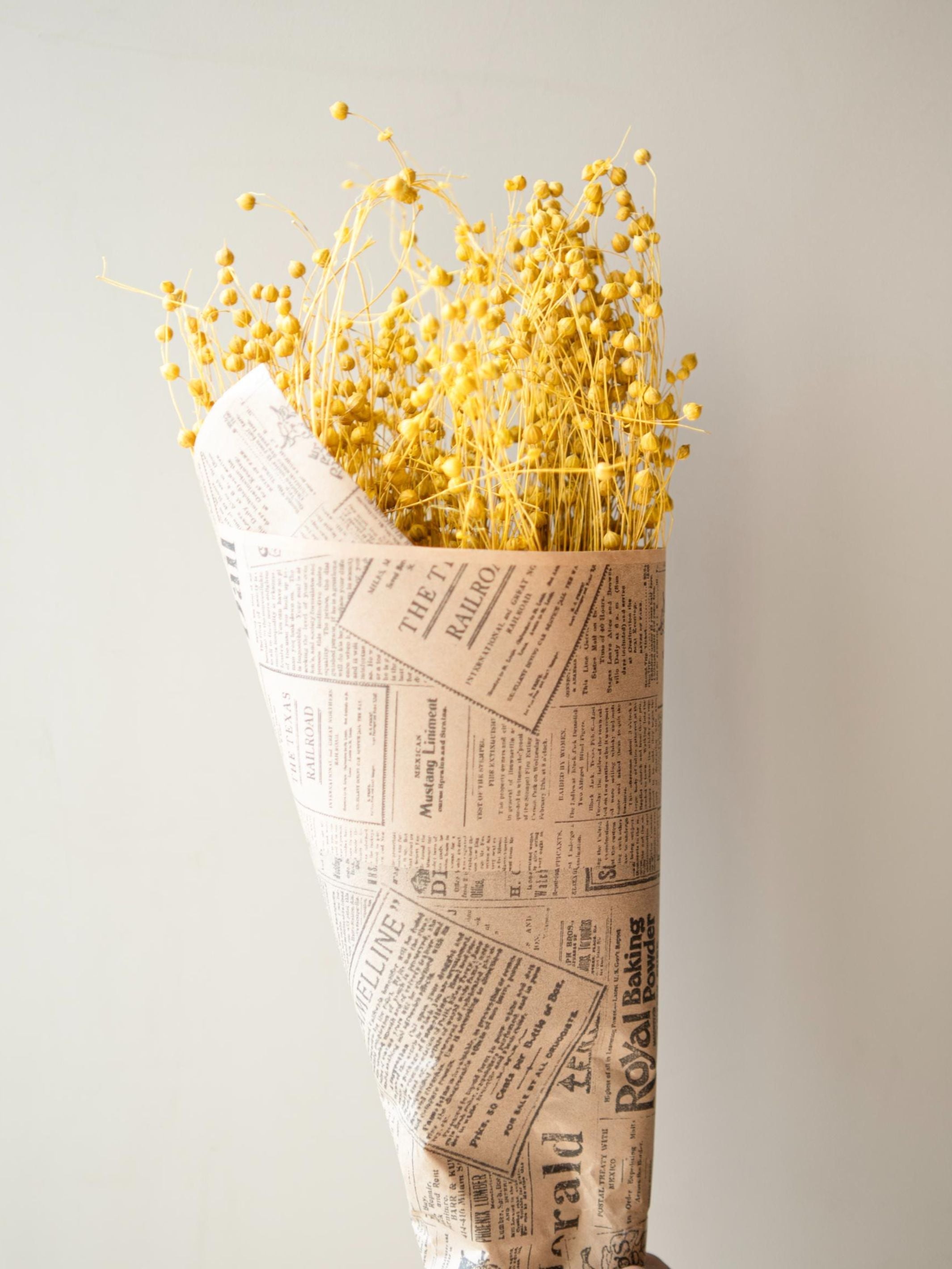 Yellow flax dried flower