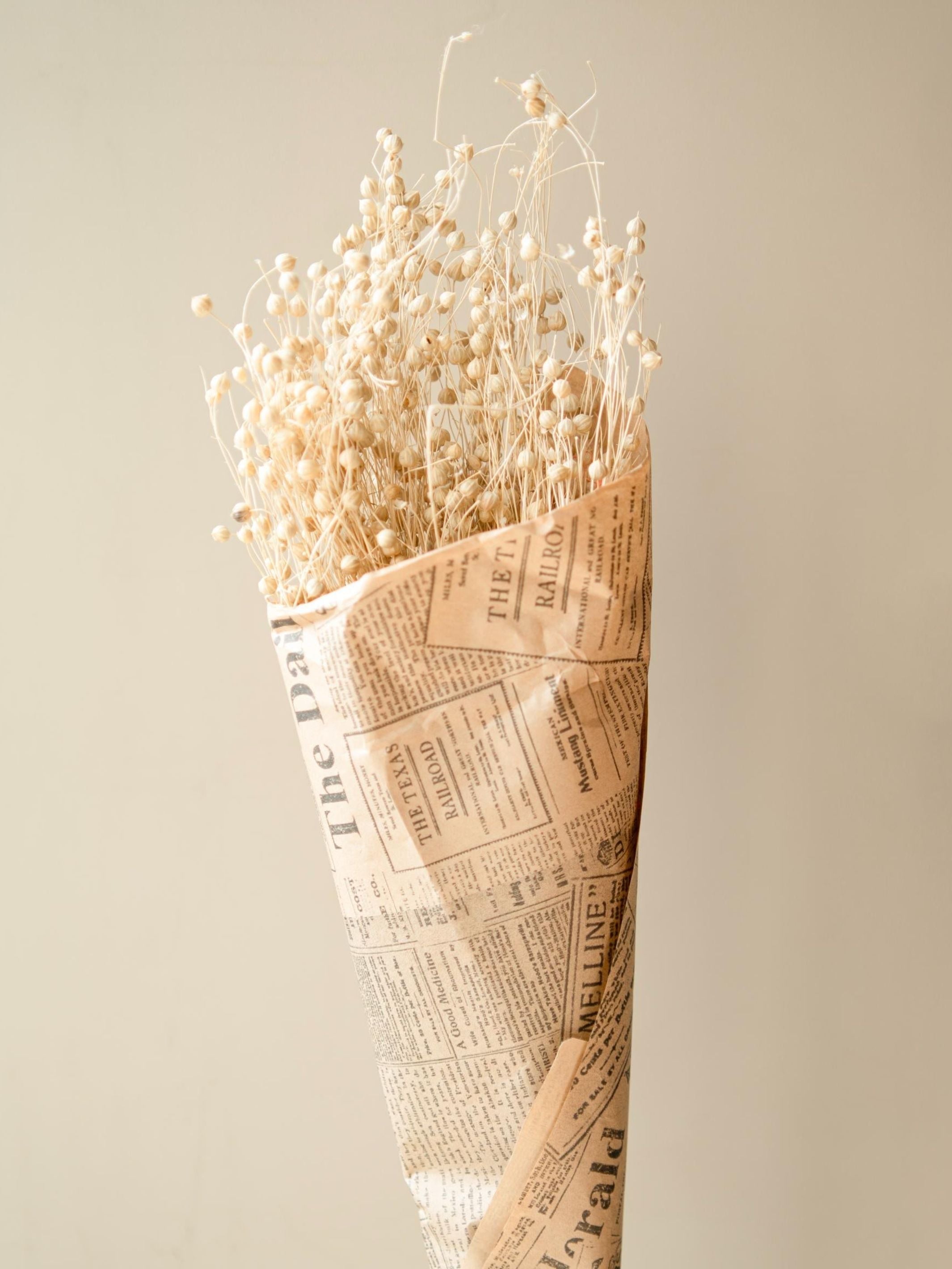 White flax dried flower