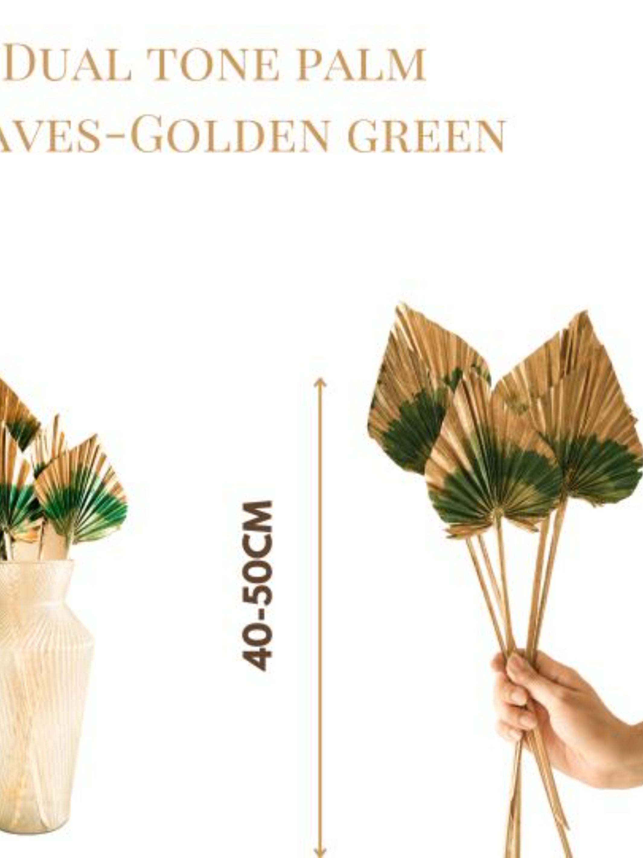 Golden Green Dual tone palm leaves
