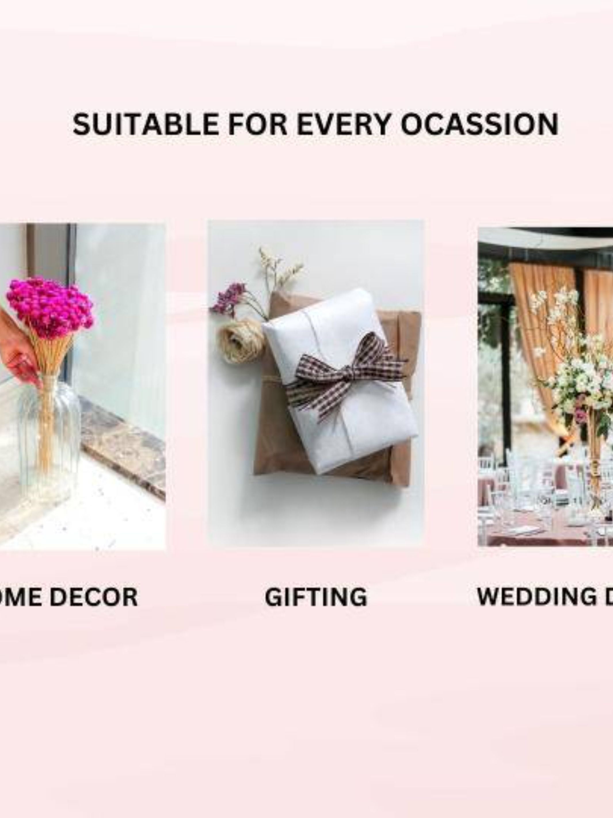 gomphera set of 25 stems -Dark pink