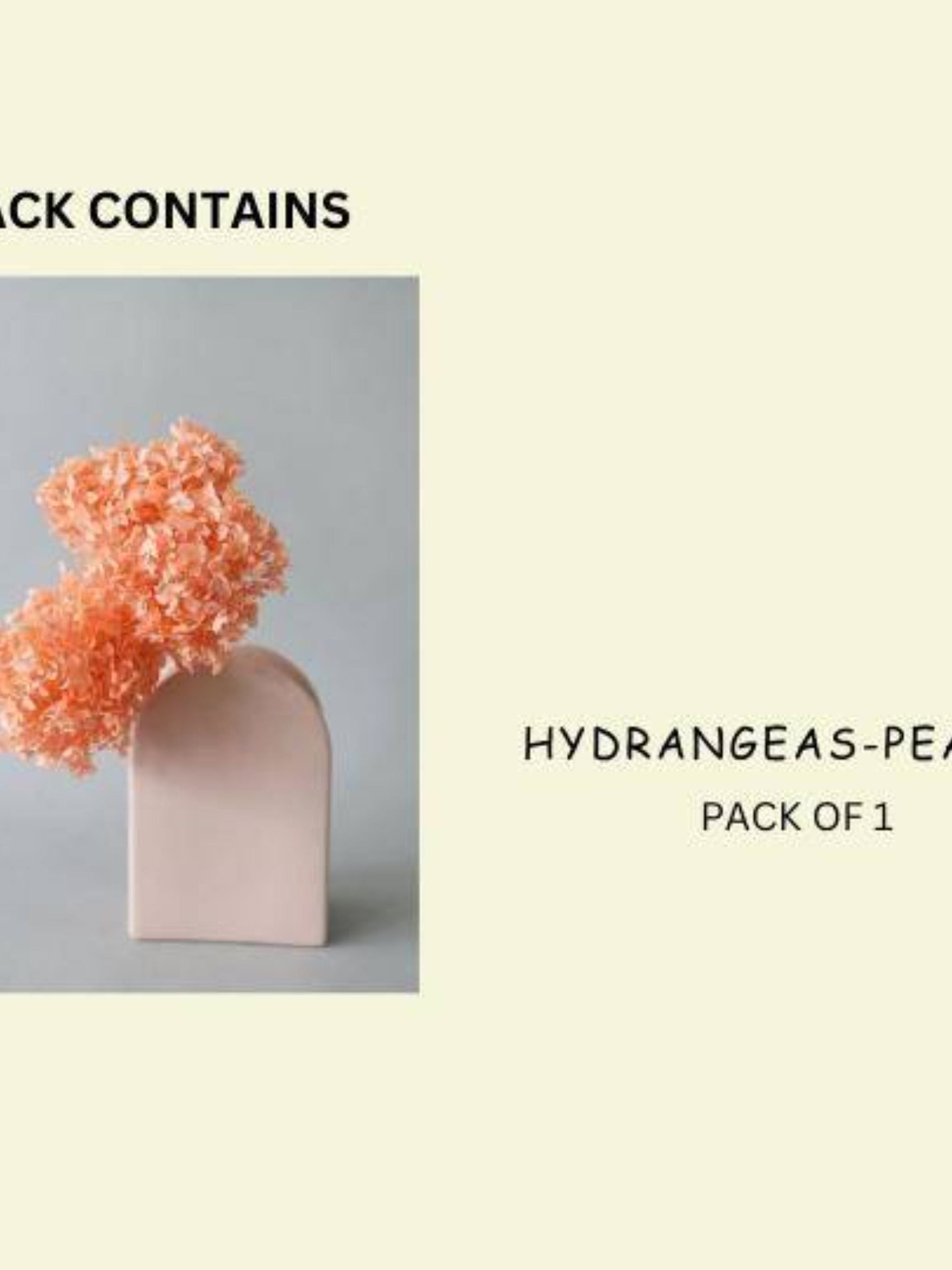 Hydrangeas _Peach