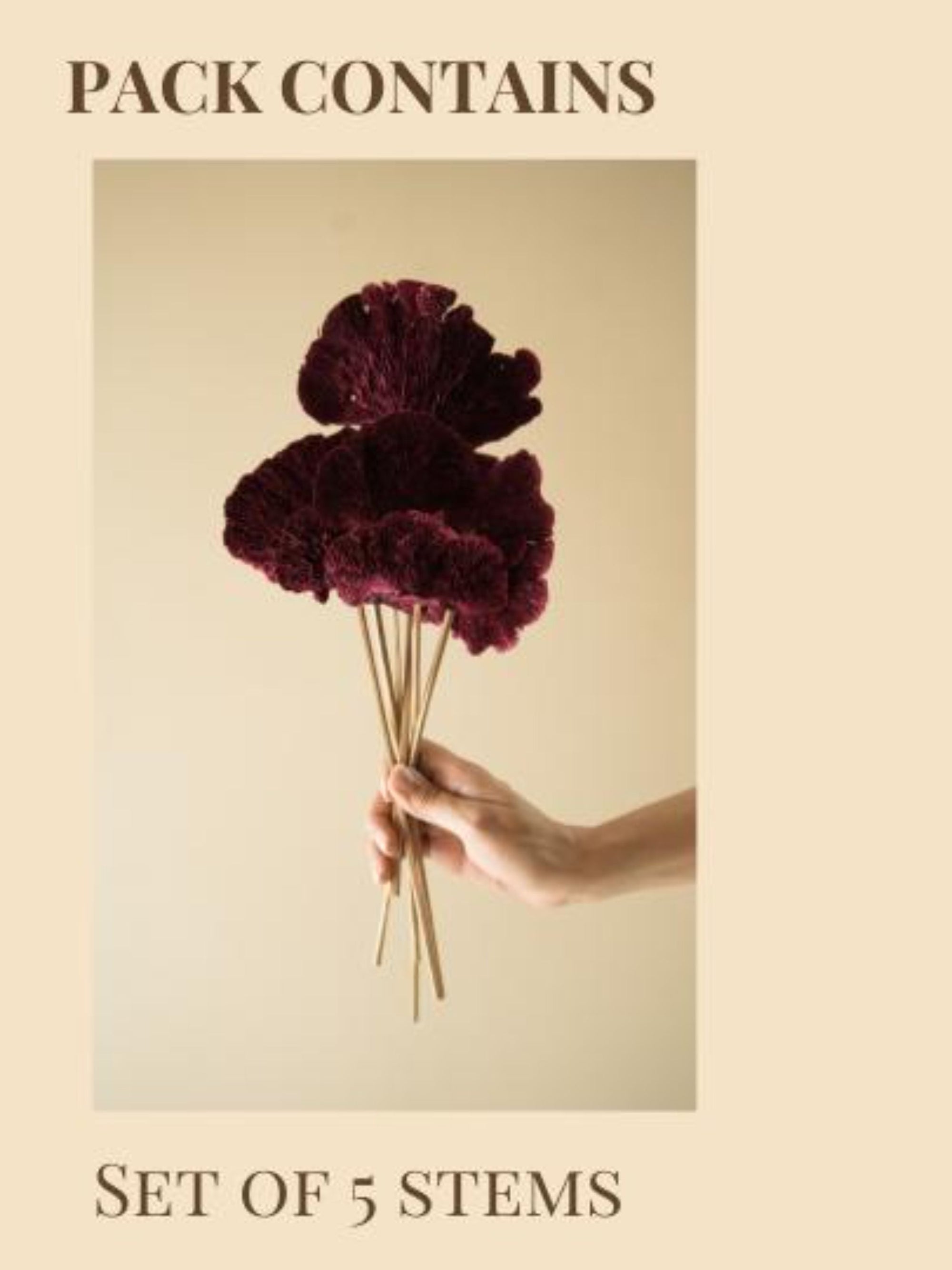 Red Sponge mushroom