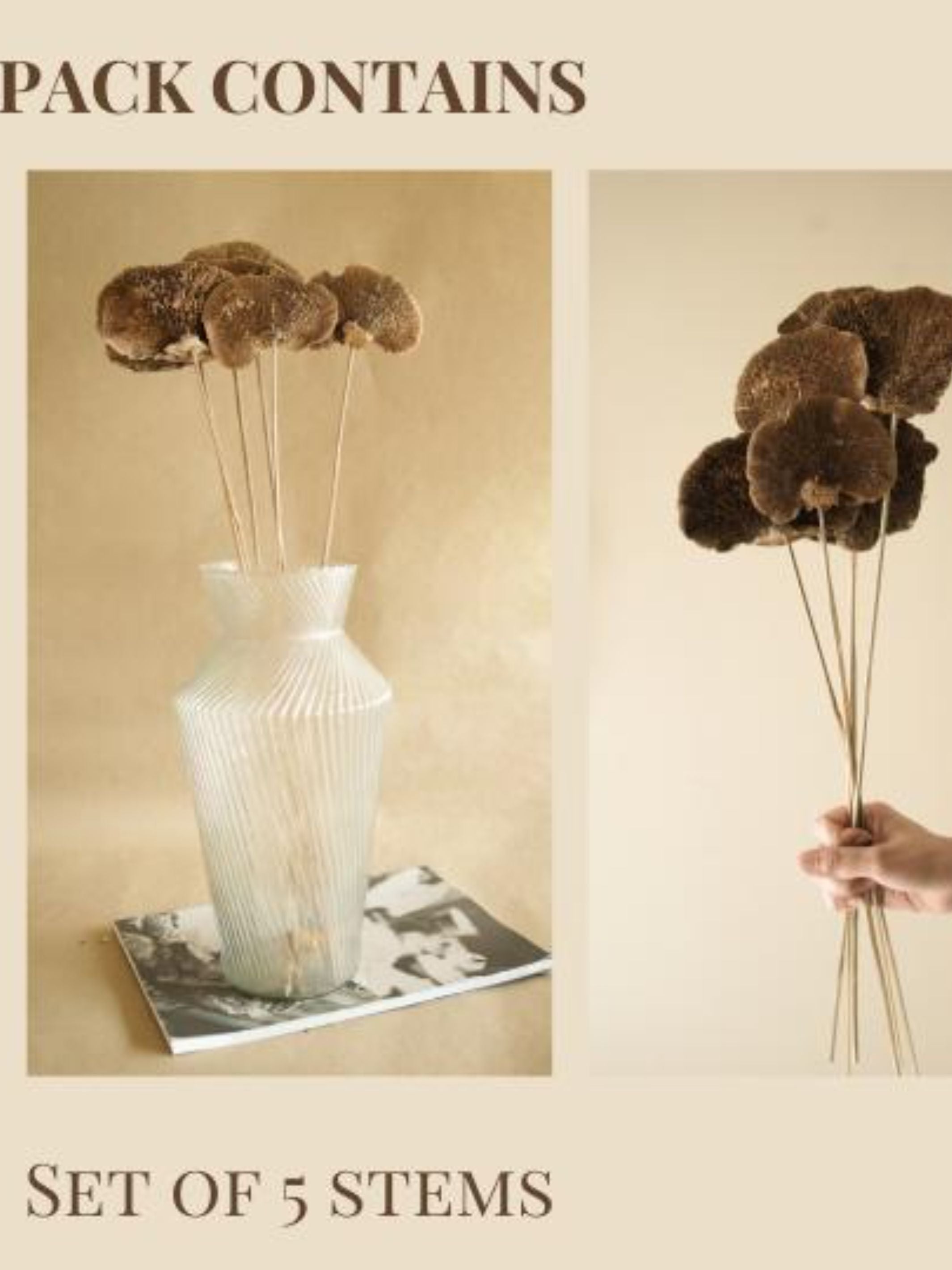 Natural Sponge mushroom (Original)