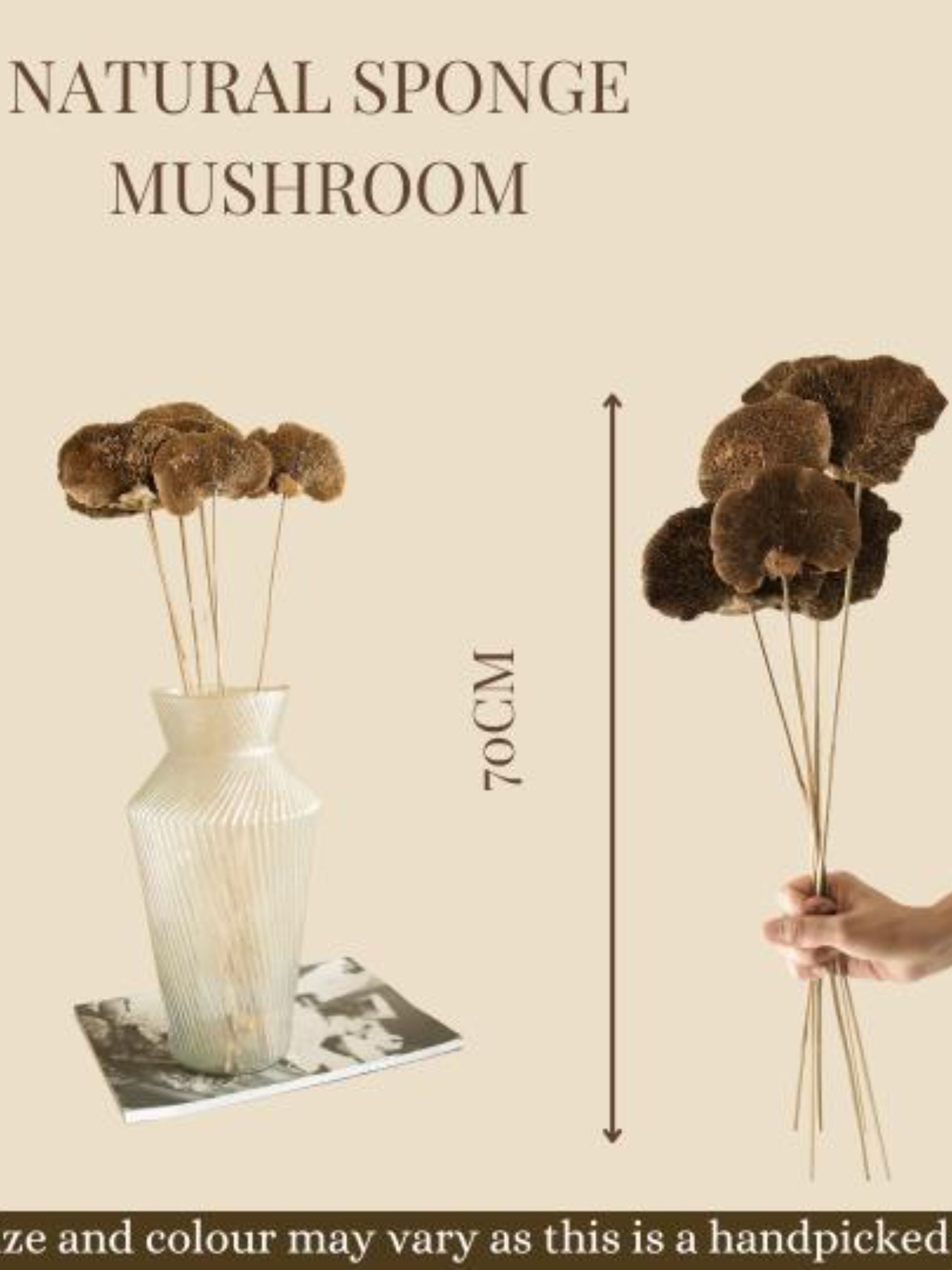 Natural Sponge mushroom (Original)
