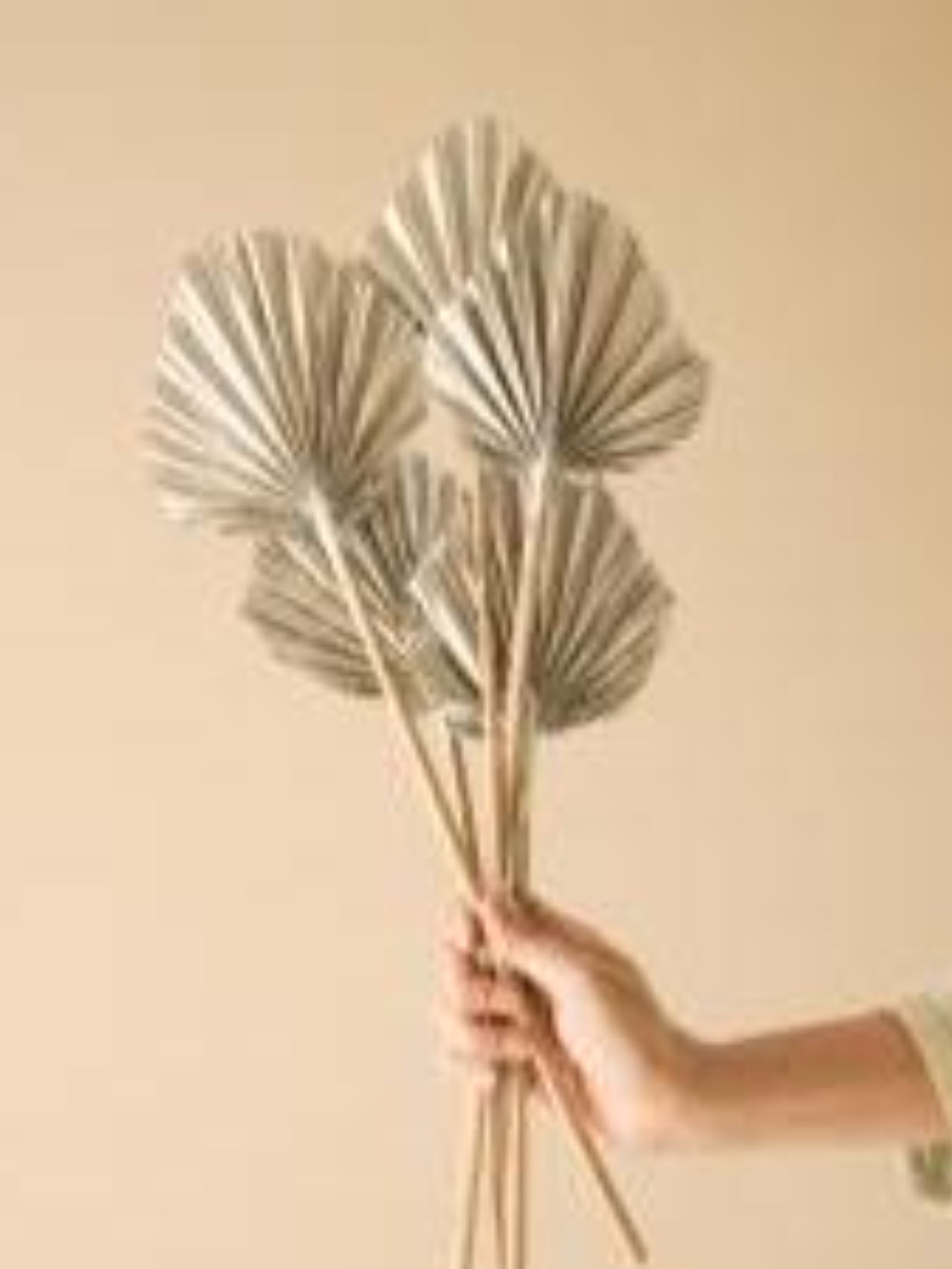 Round shape palm leaves