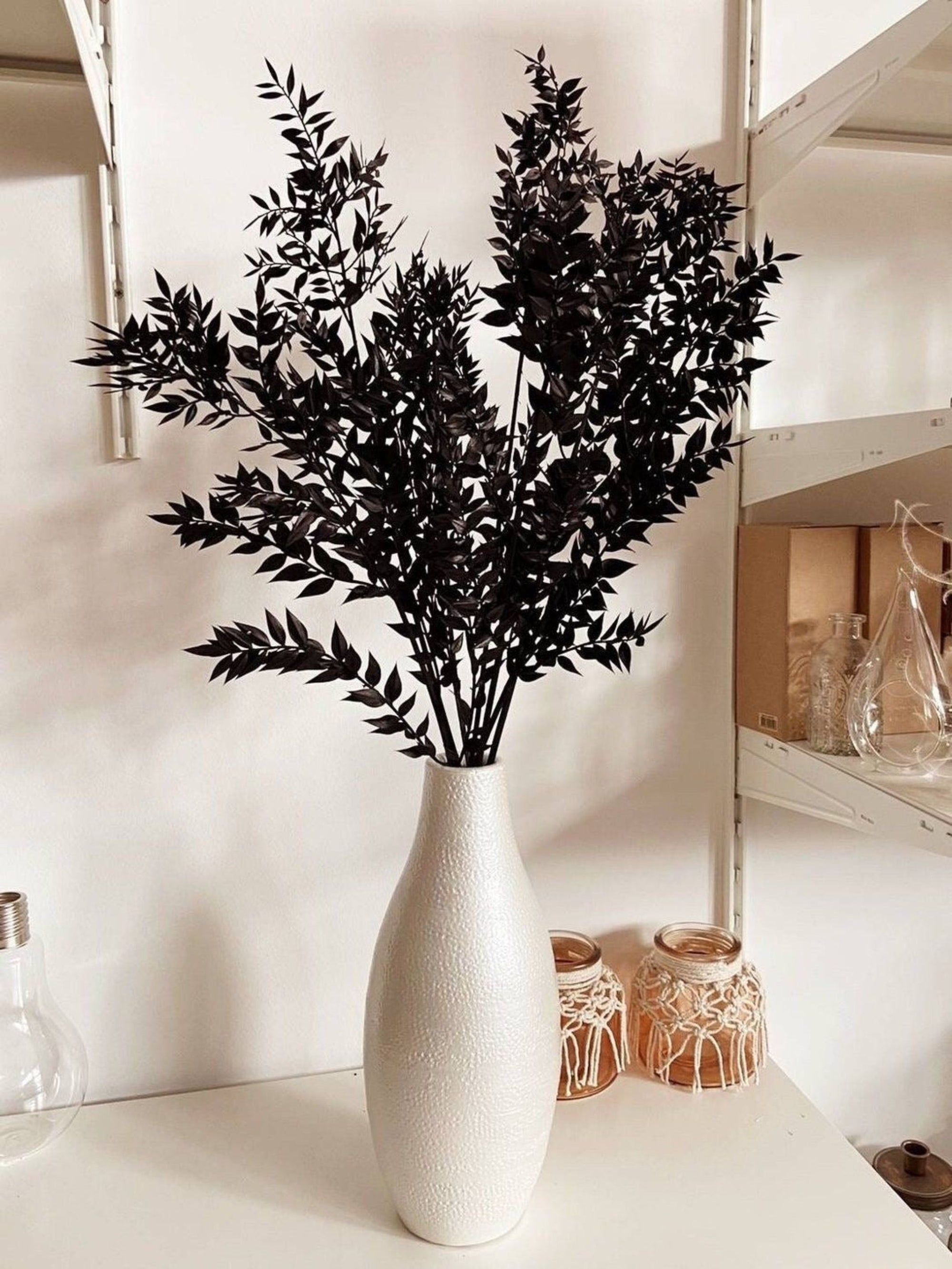 Ruscus- Black