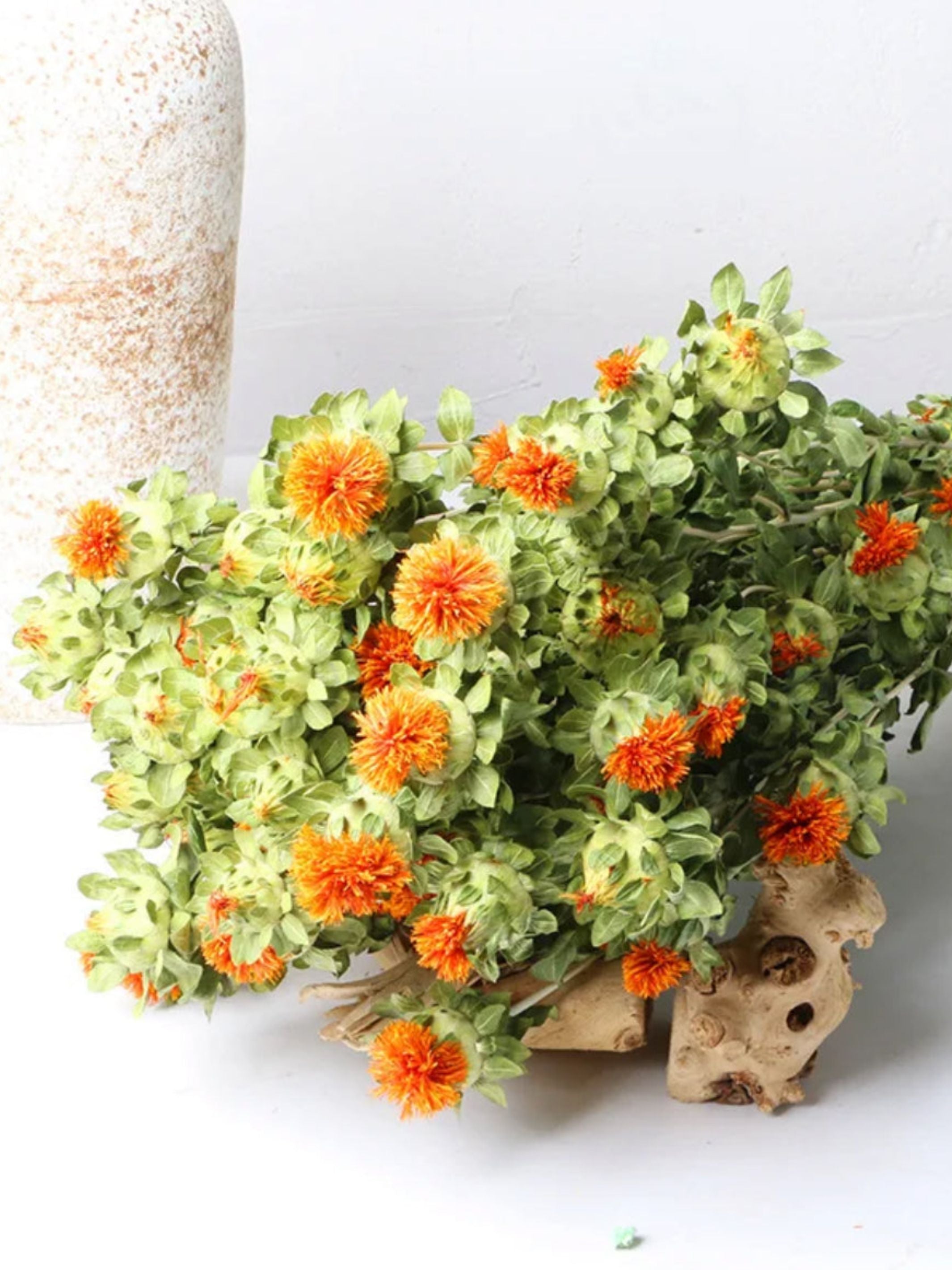 Dried safflower