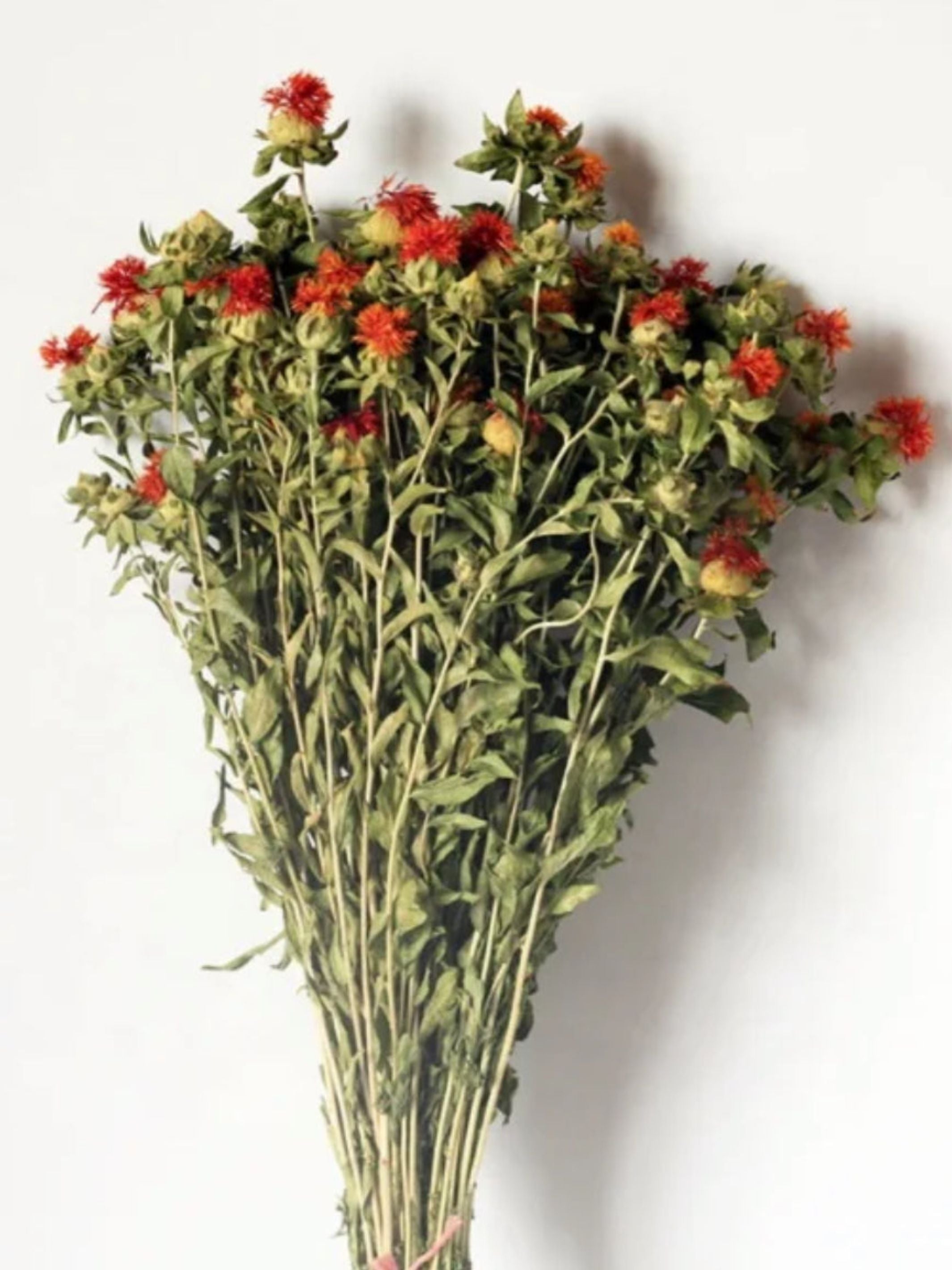 Dried safflower
