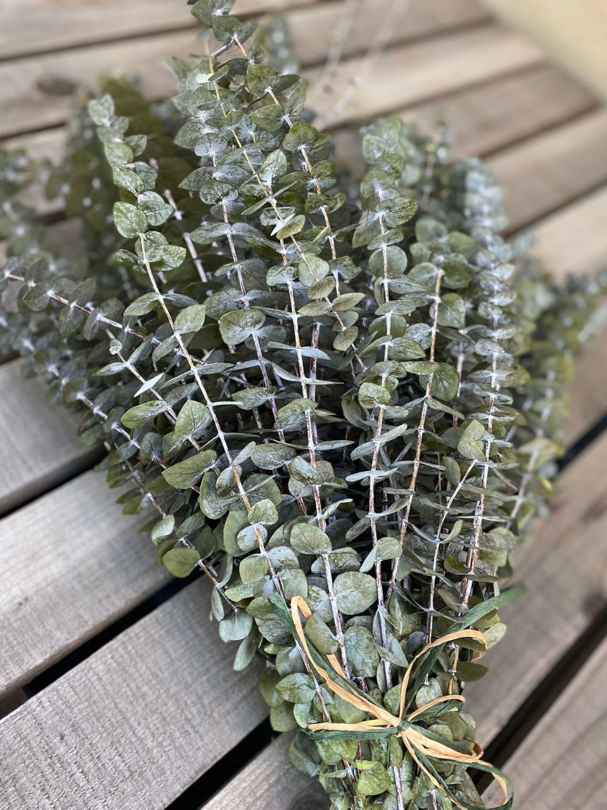 Light Green Eucalyptus