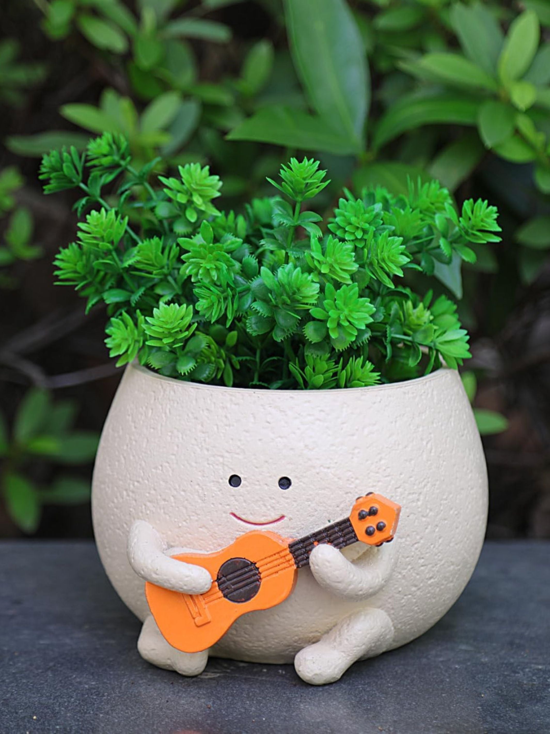 The Jazzy Planter