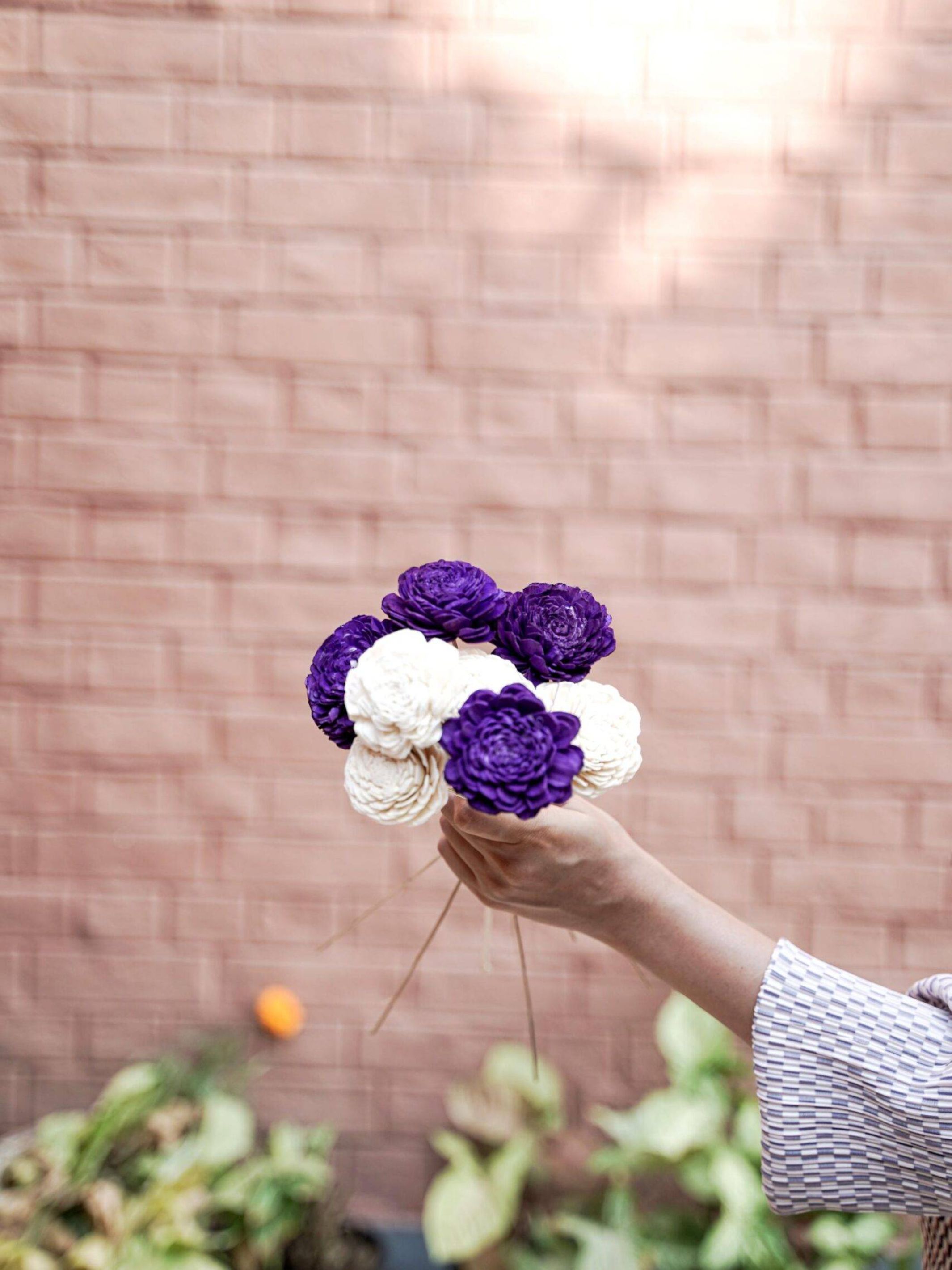 Sola Flower-Purple Combo