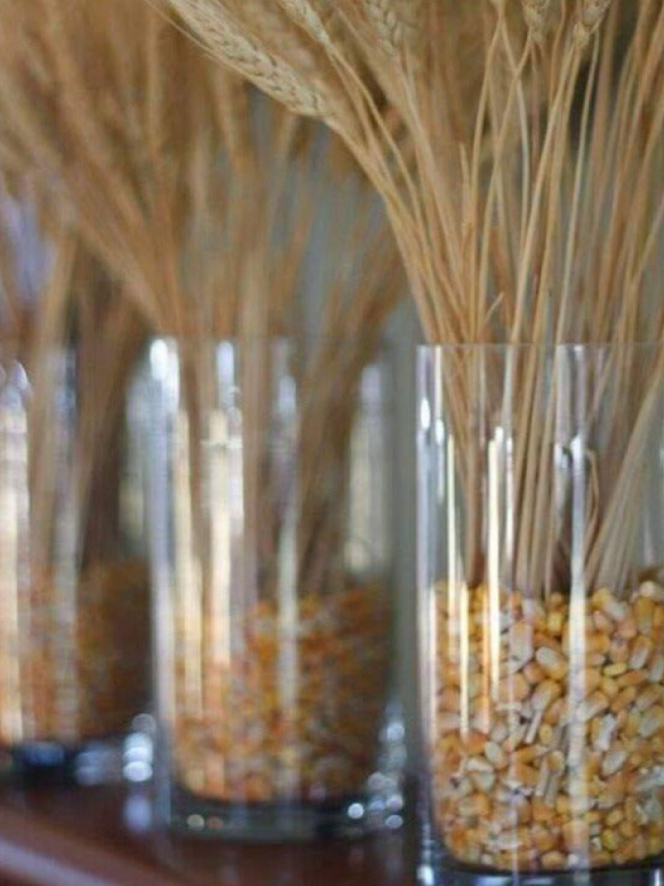 Wheat grass-set of 30 stems