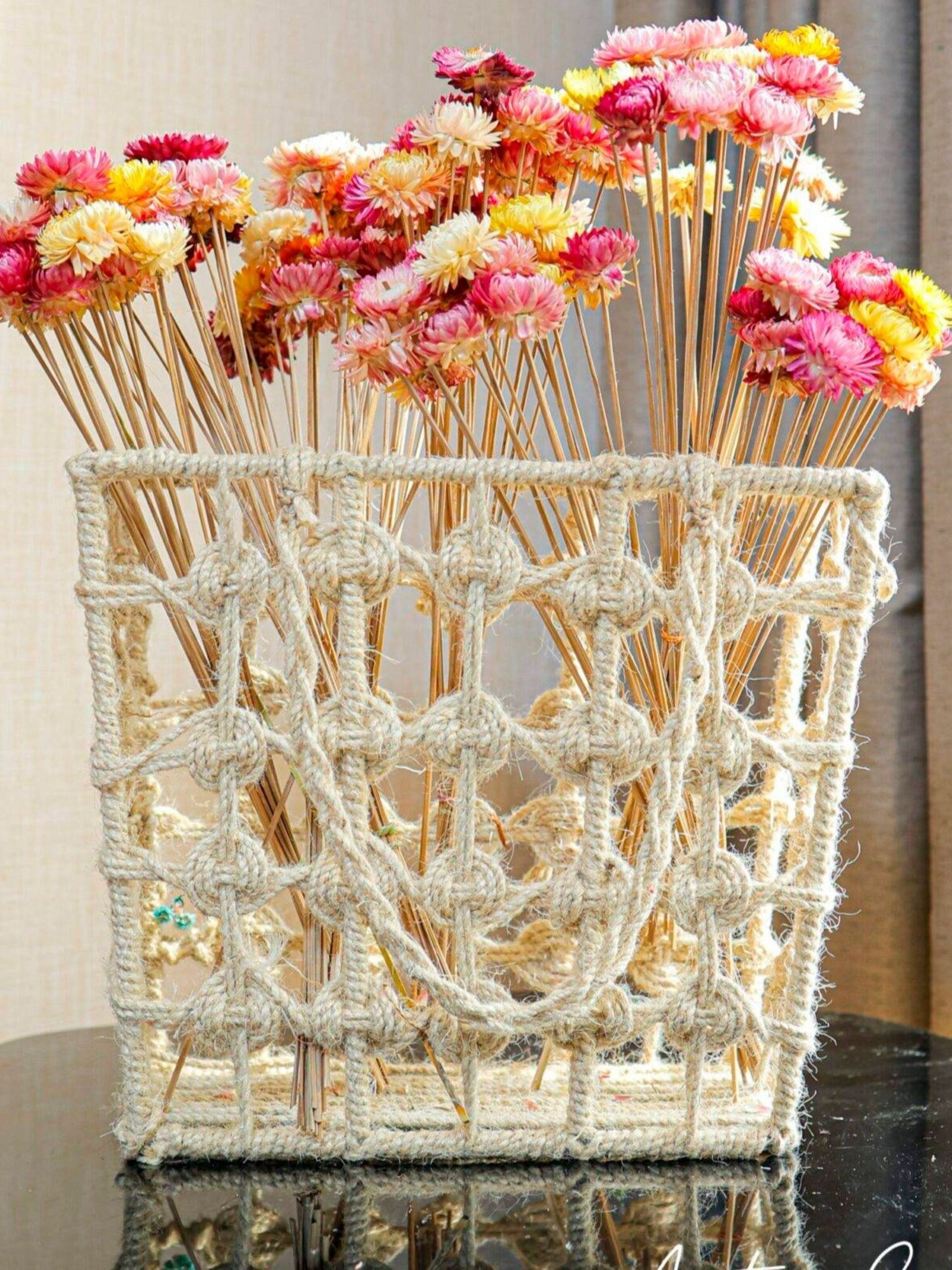 Straw flower-set of 20 stems